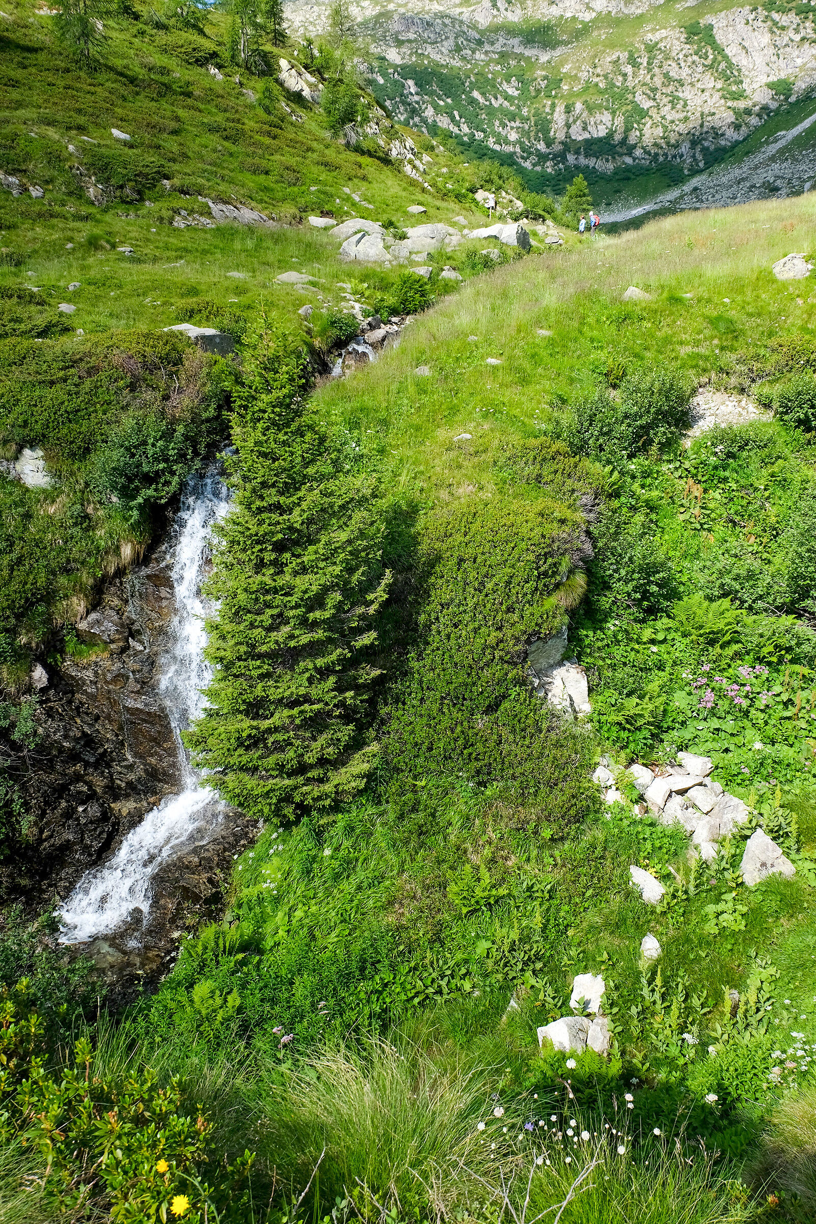 Campiglio - the stream