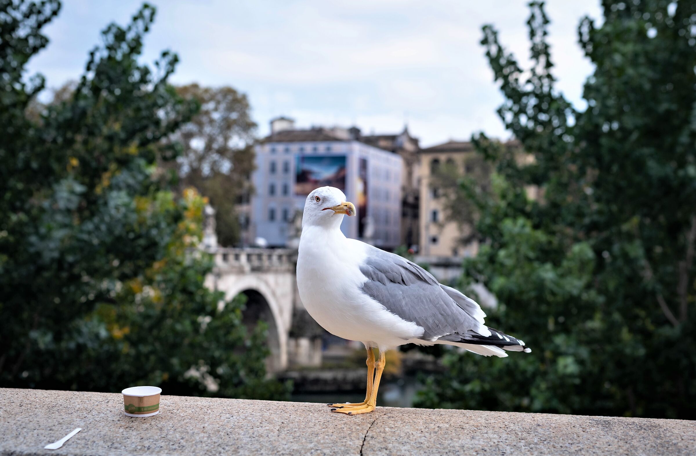 dopo il gelato... il caffè.