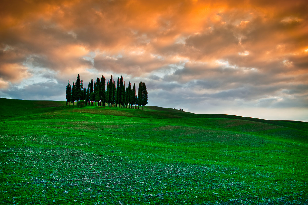 Bolster S.Quirico (yes)