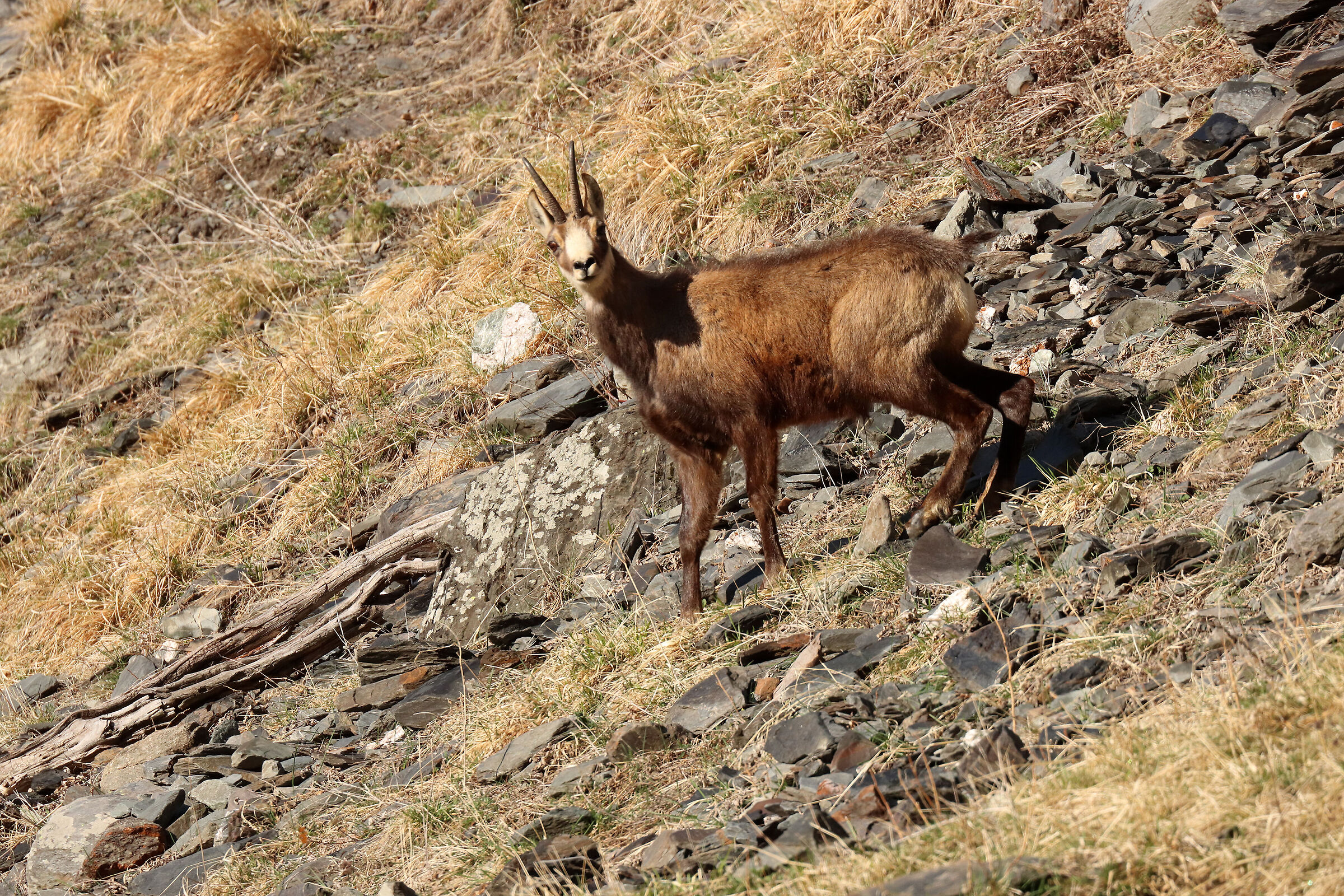 surprised and hesitant