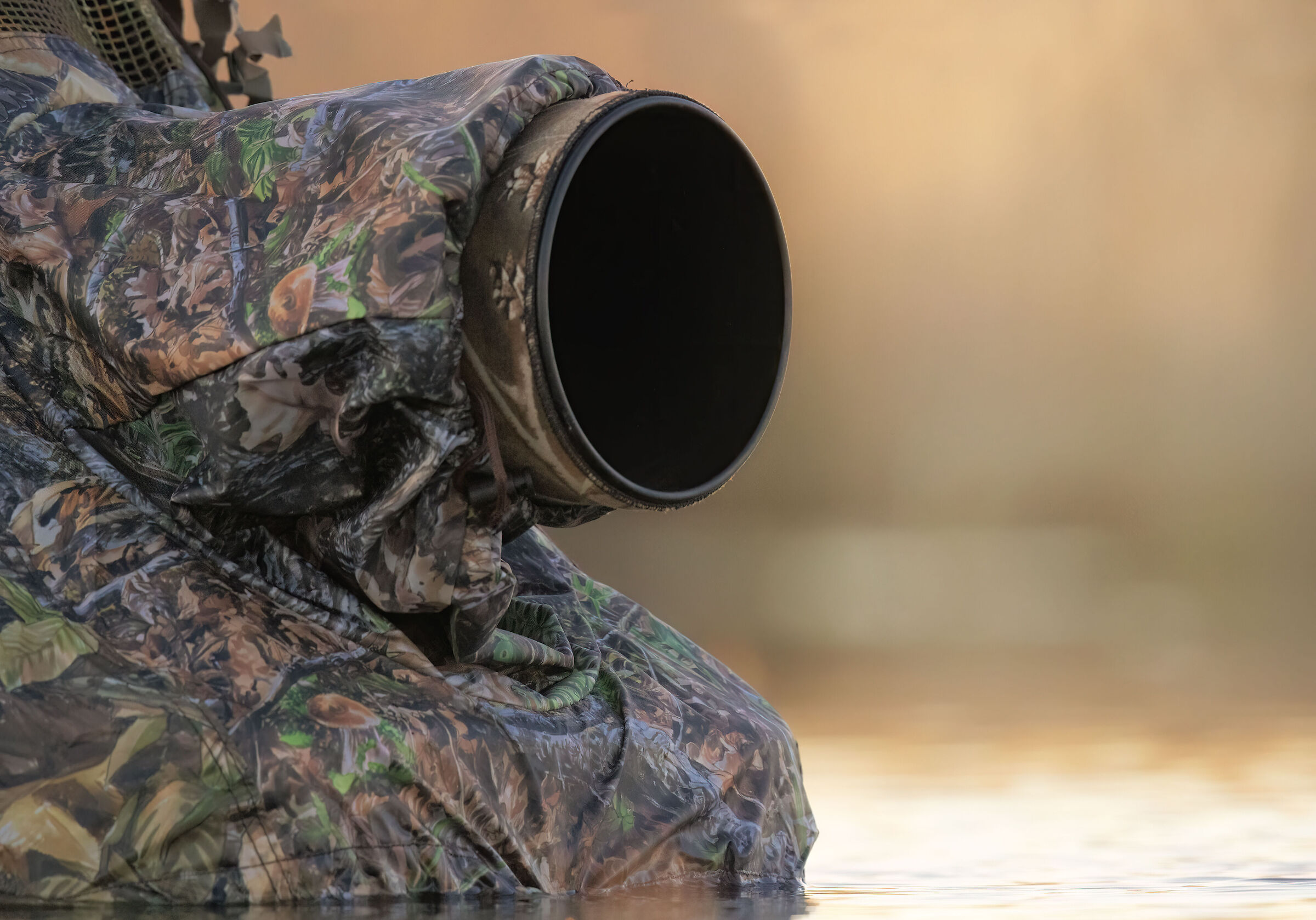 Nuovi punti di vista