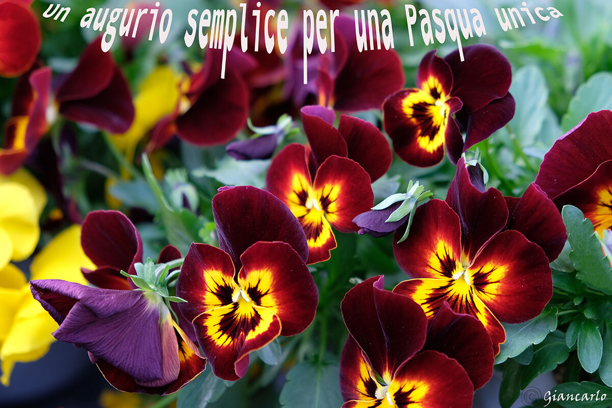 Happy Easter to all