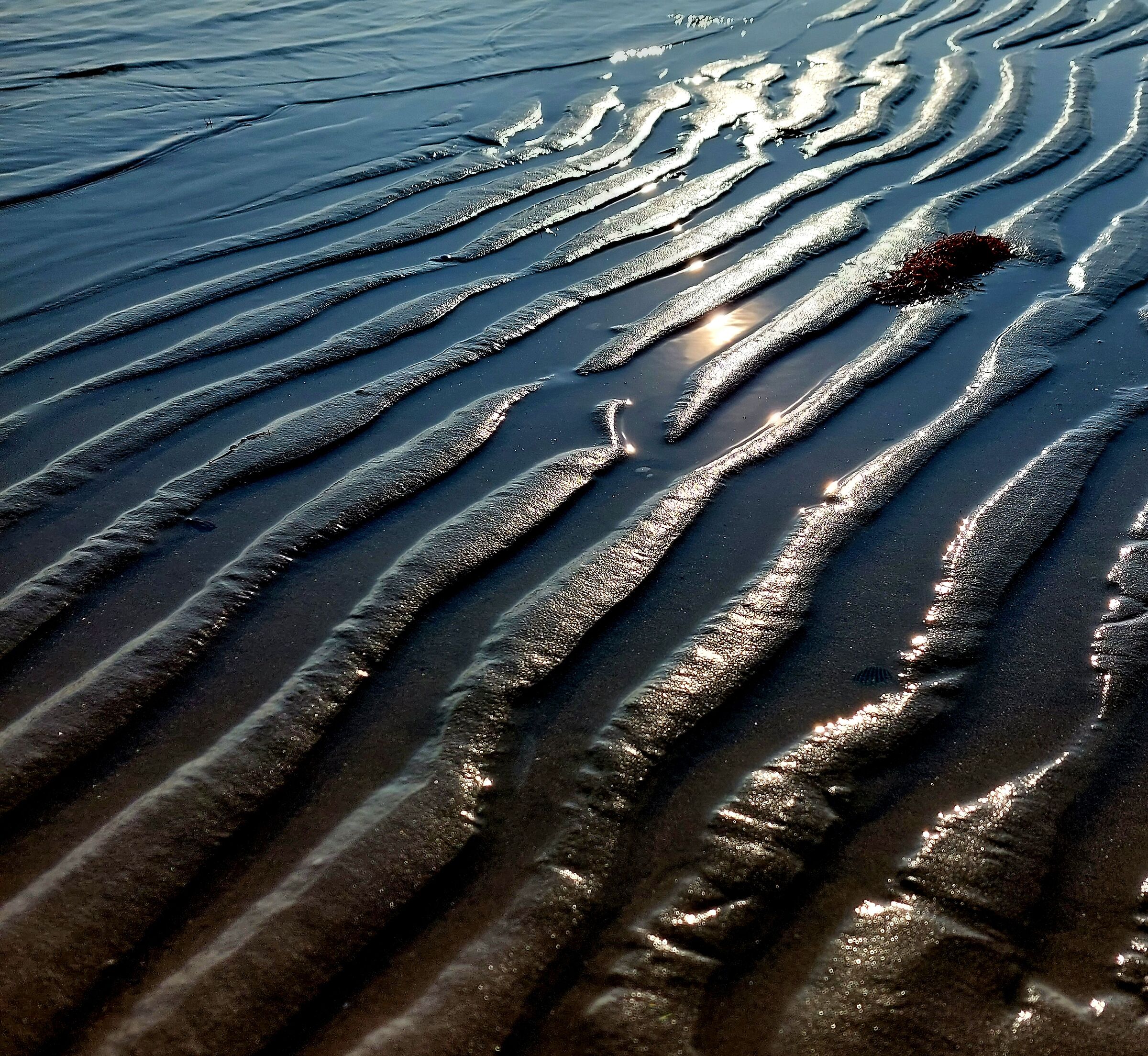 Low tide, P.to garibaldi