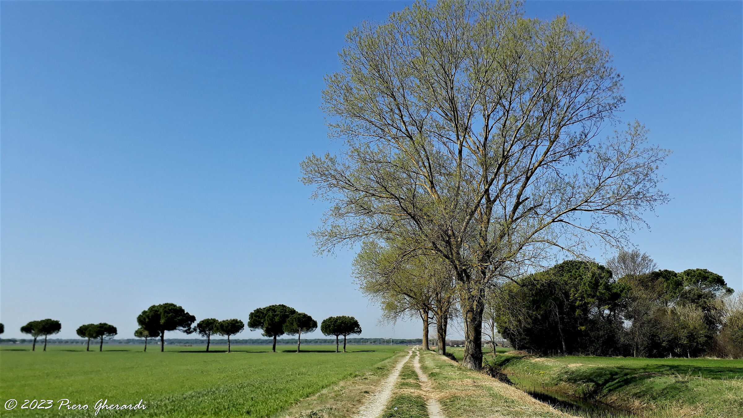 Campagna