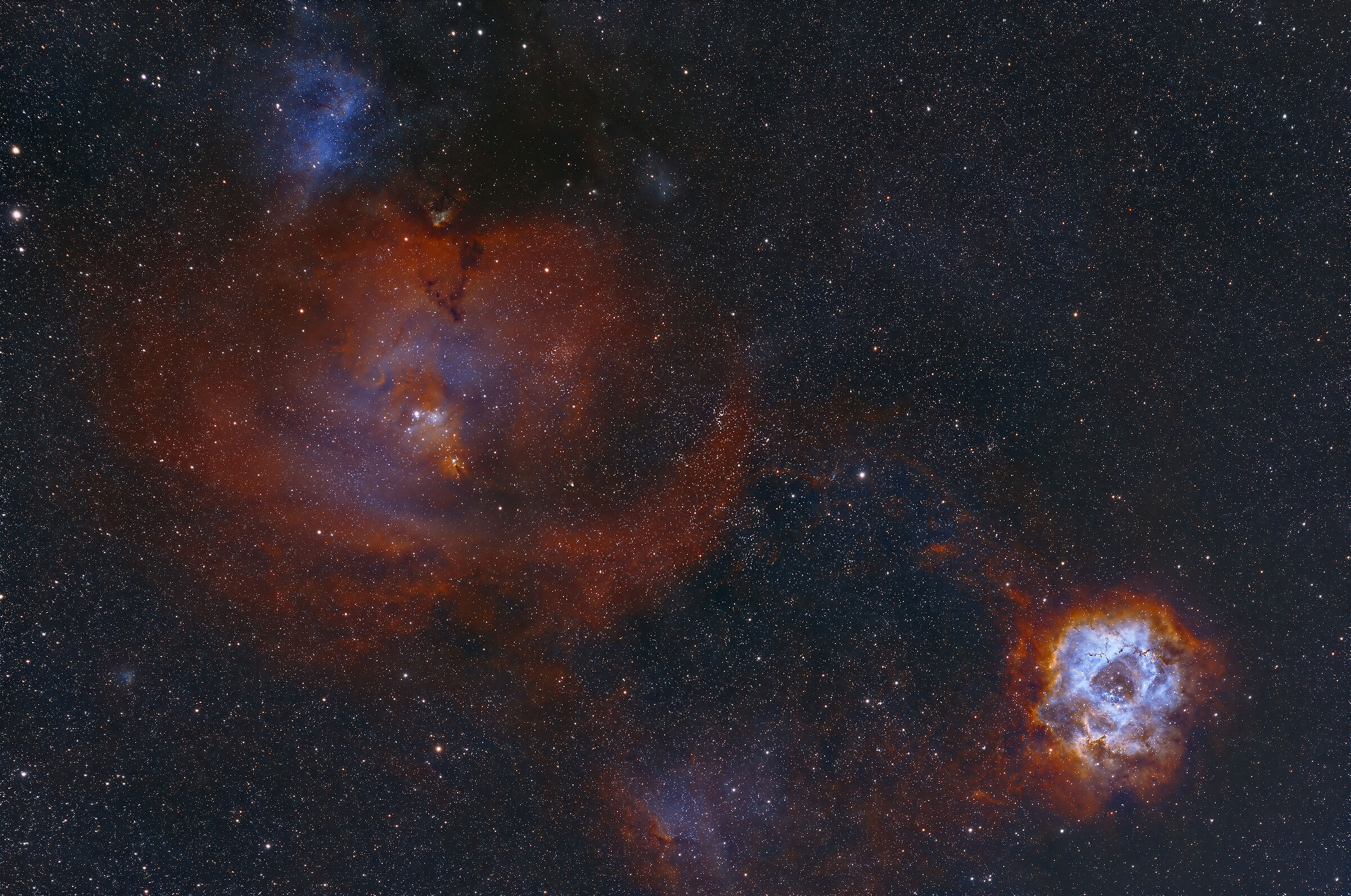 Rosetta and Cone Nebulae