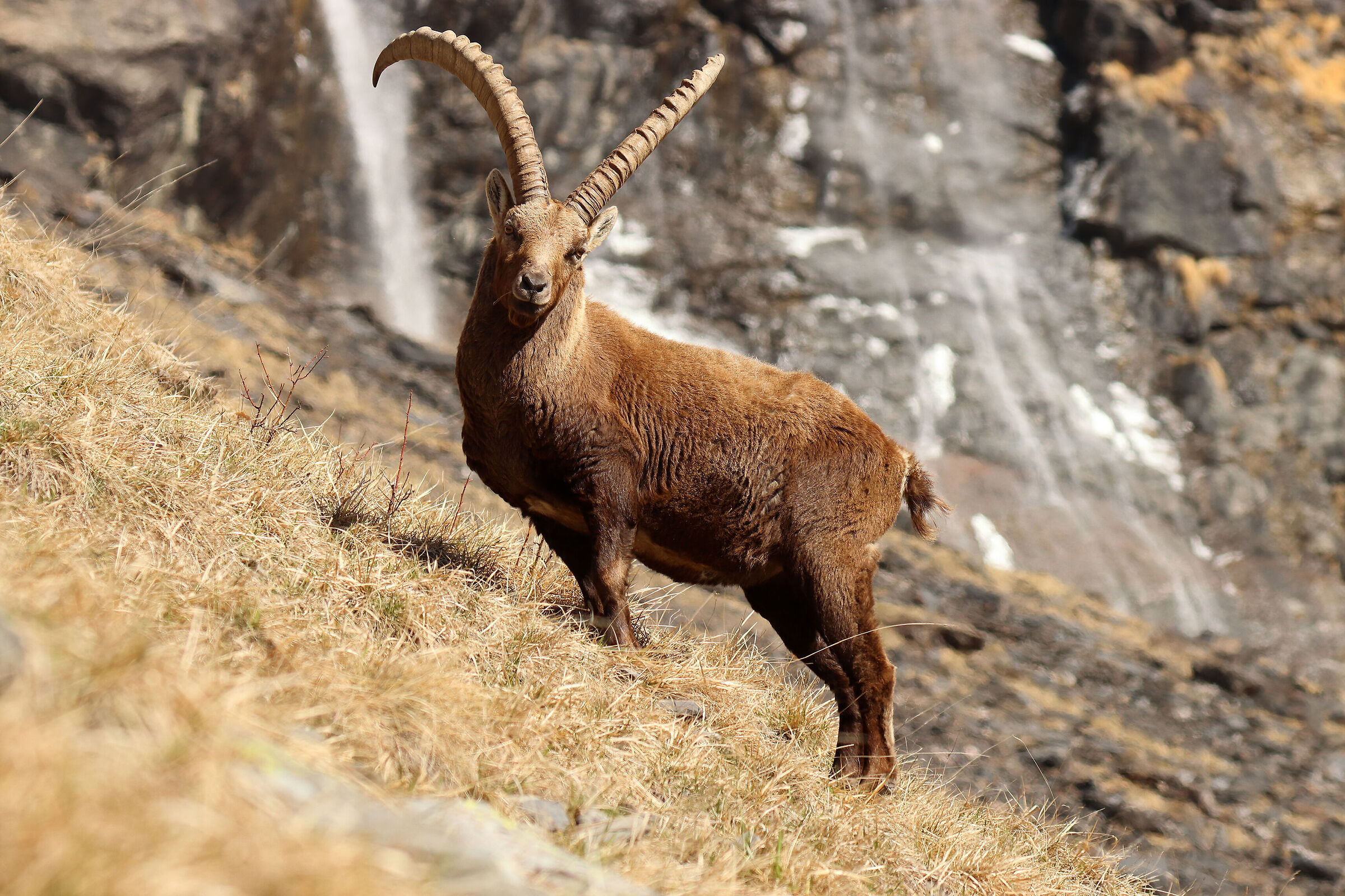 possente alla cascata