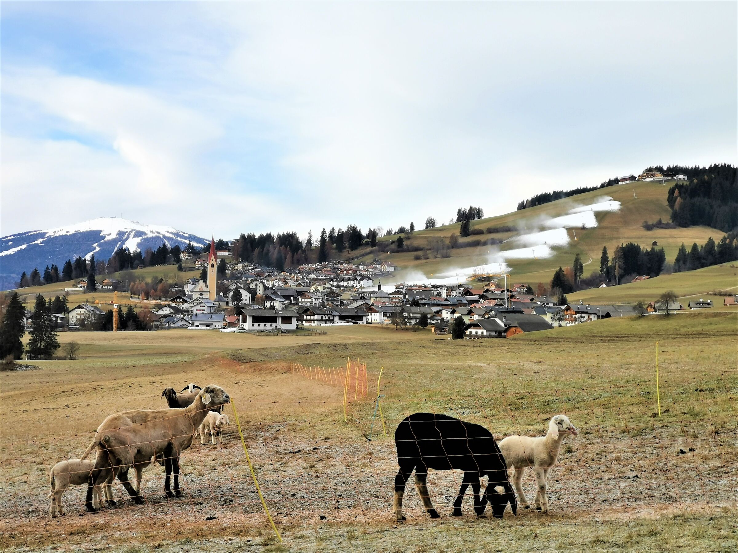 Tesido sopra Monguelfo.