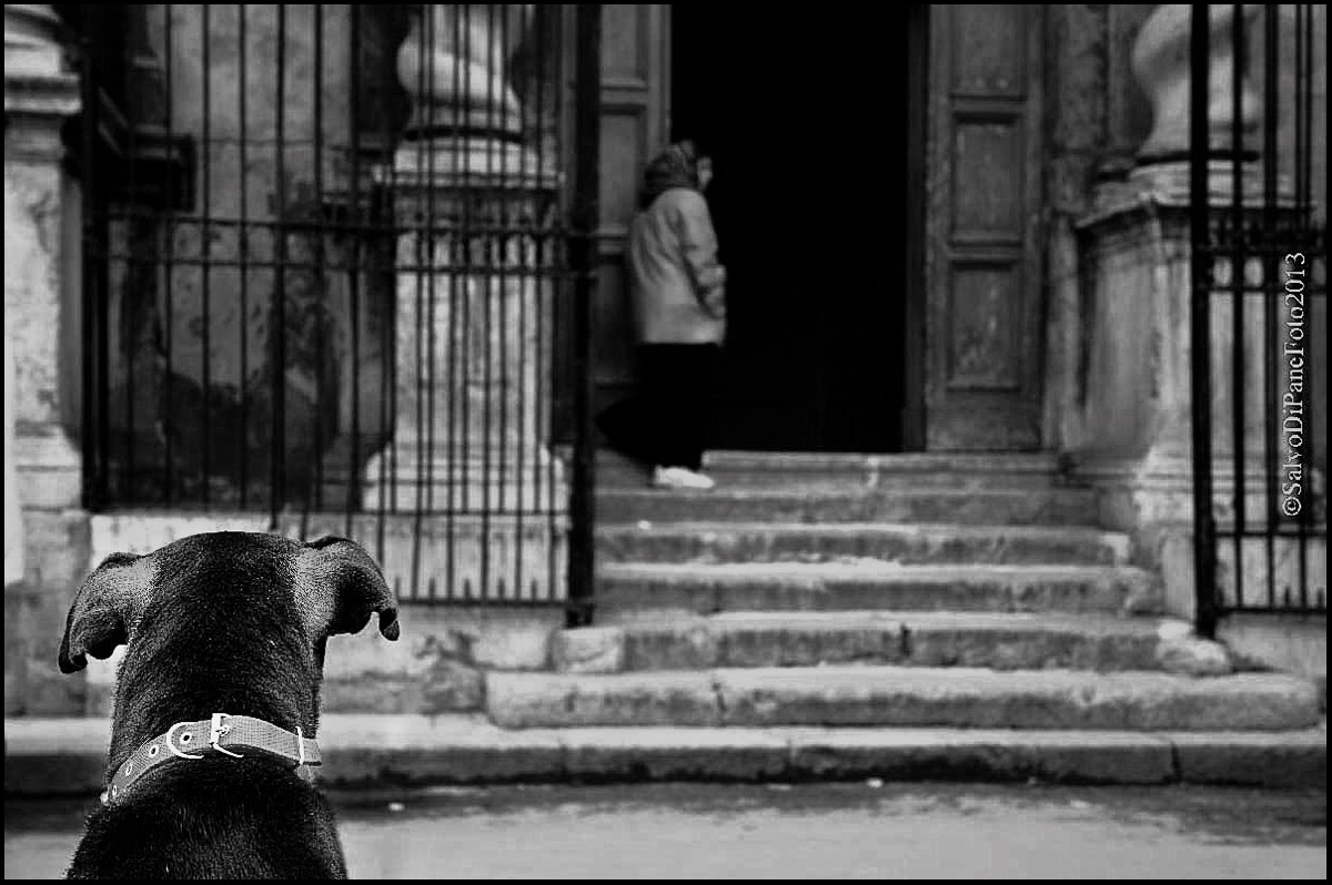 Now I'm looking at you. . .