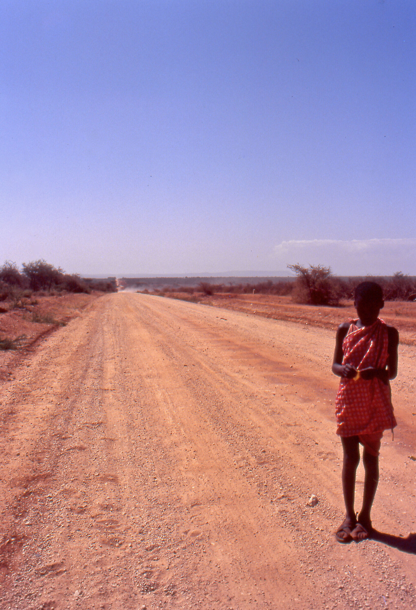 La Strada della vita