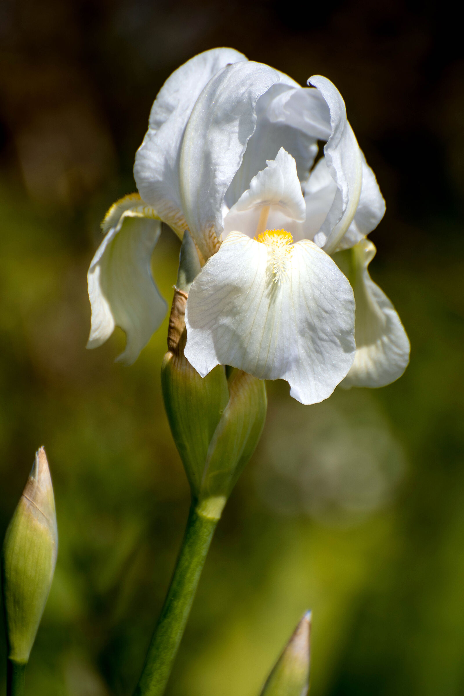 On the bank of the river ...