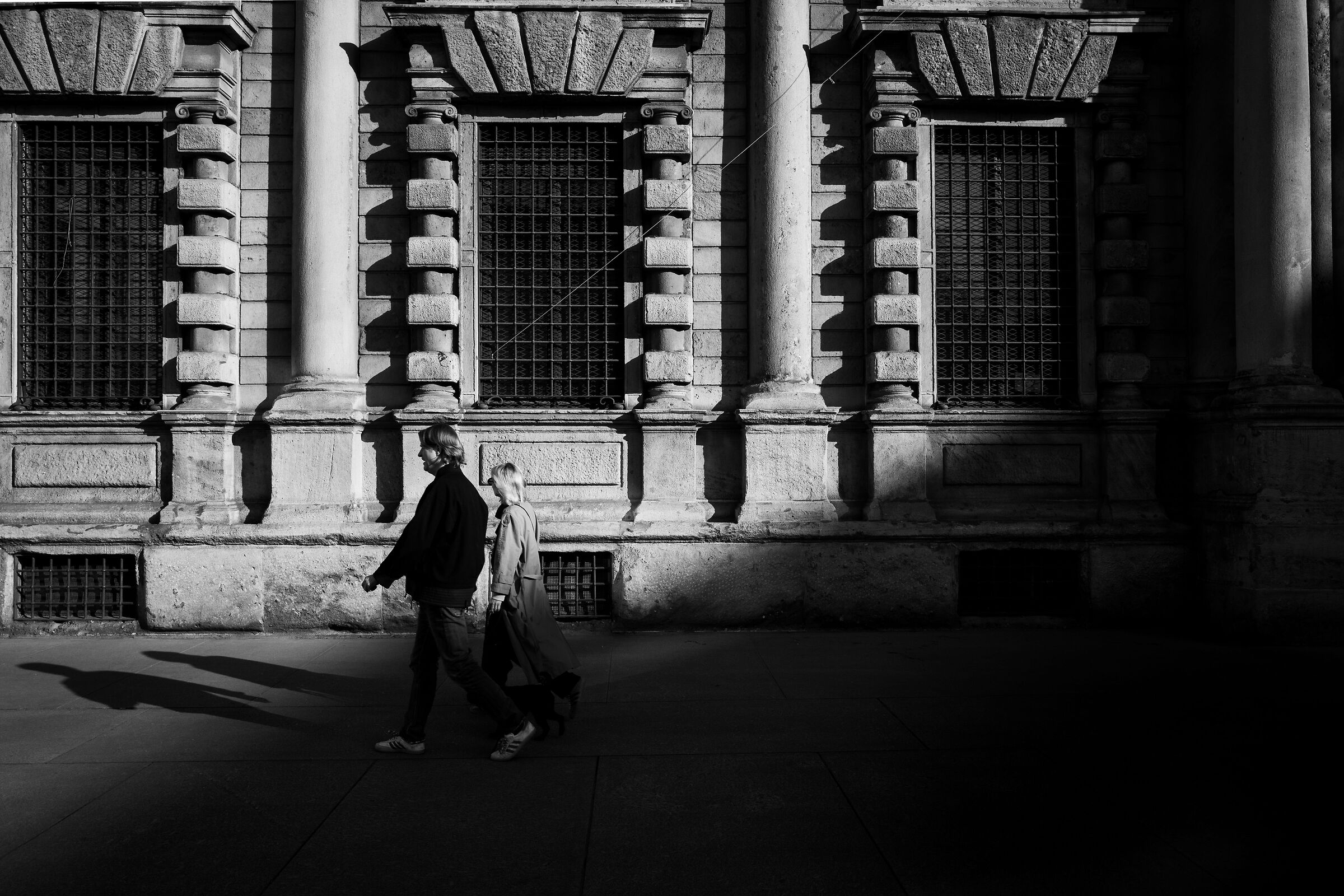 Shadows