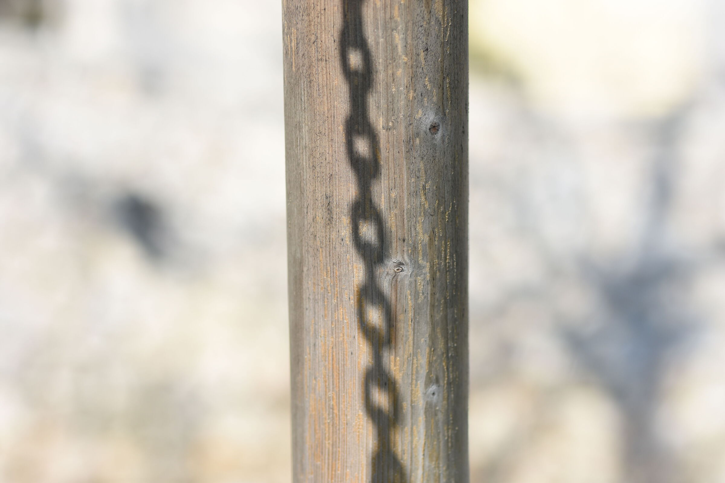 @ F. 2, Sigma 85, 1.4 Art - Nikon D 7200