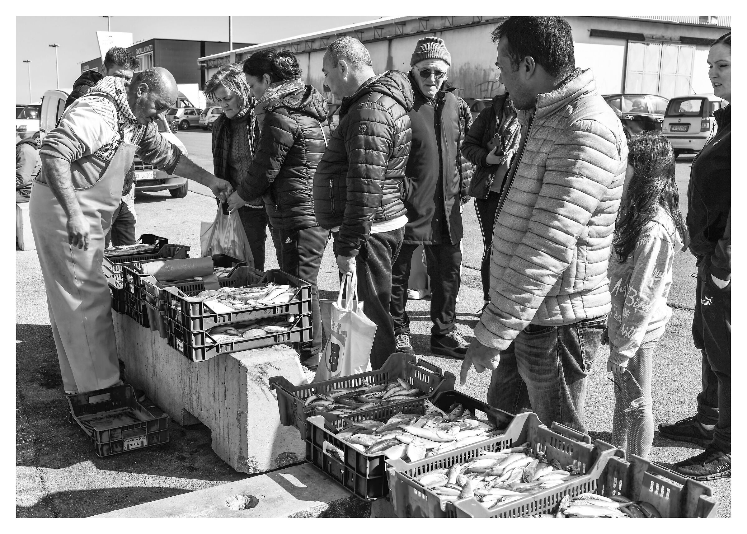 Porto di Anzio-Pesce fresco appena sbarcato...!!