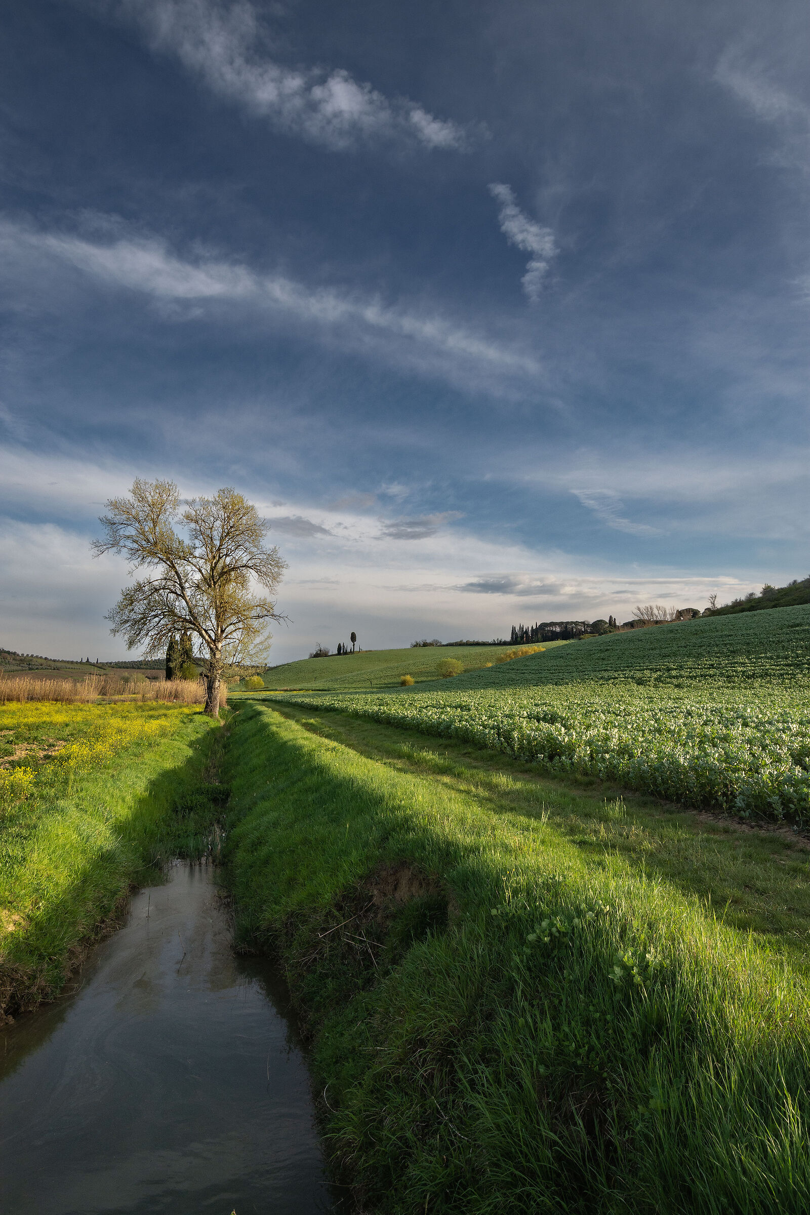 In bilico sull'argine