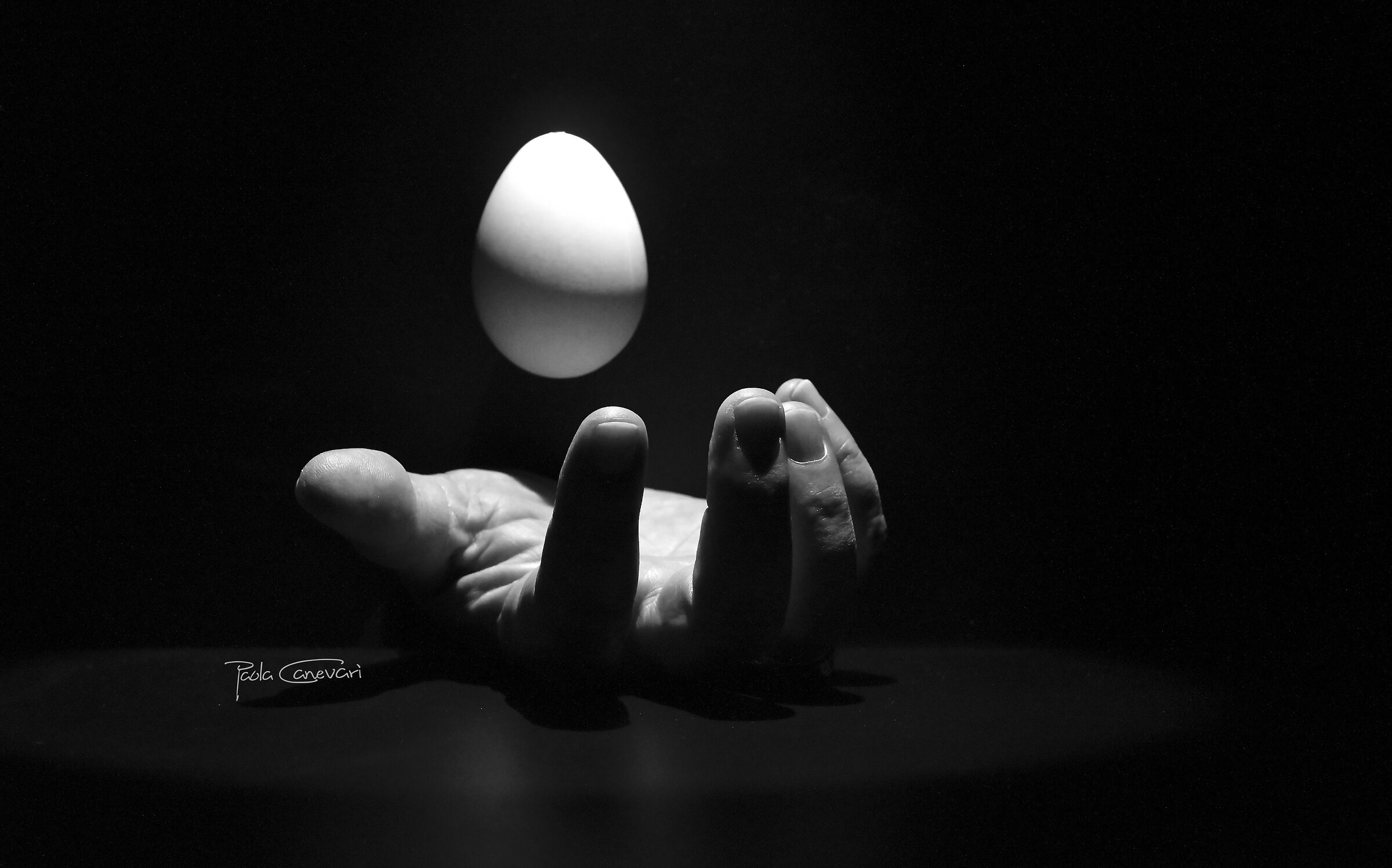 Untitled Photo