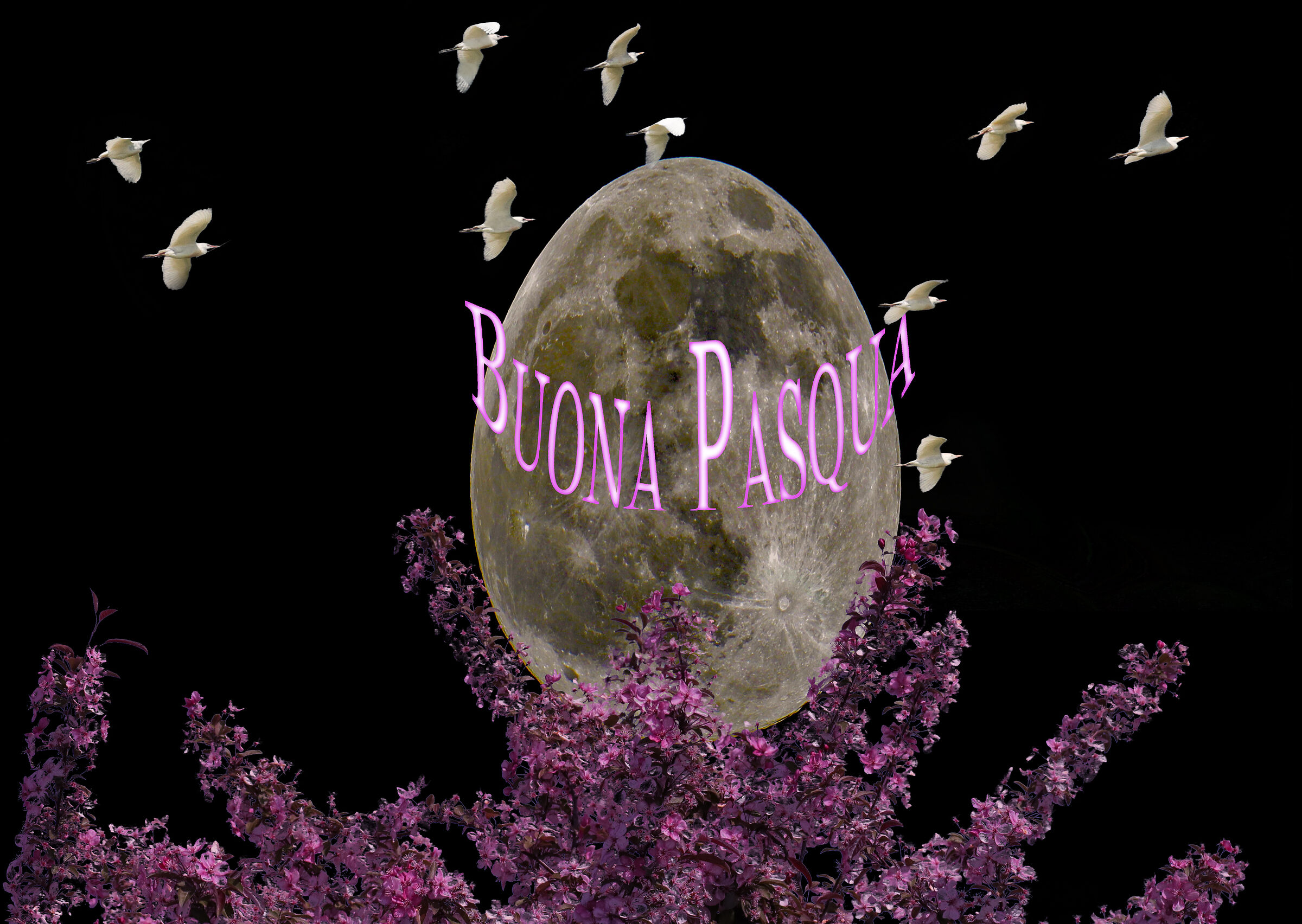 Buona Pasqua