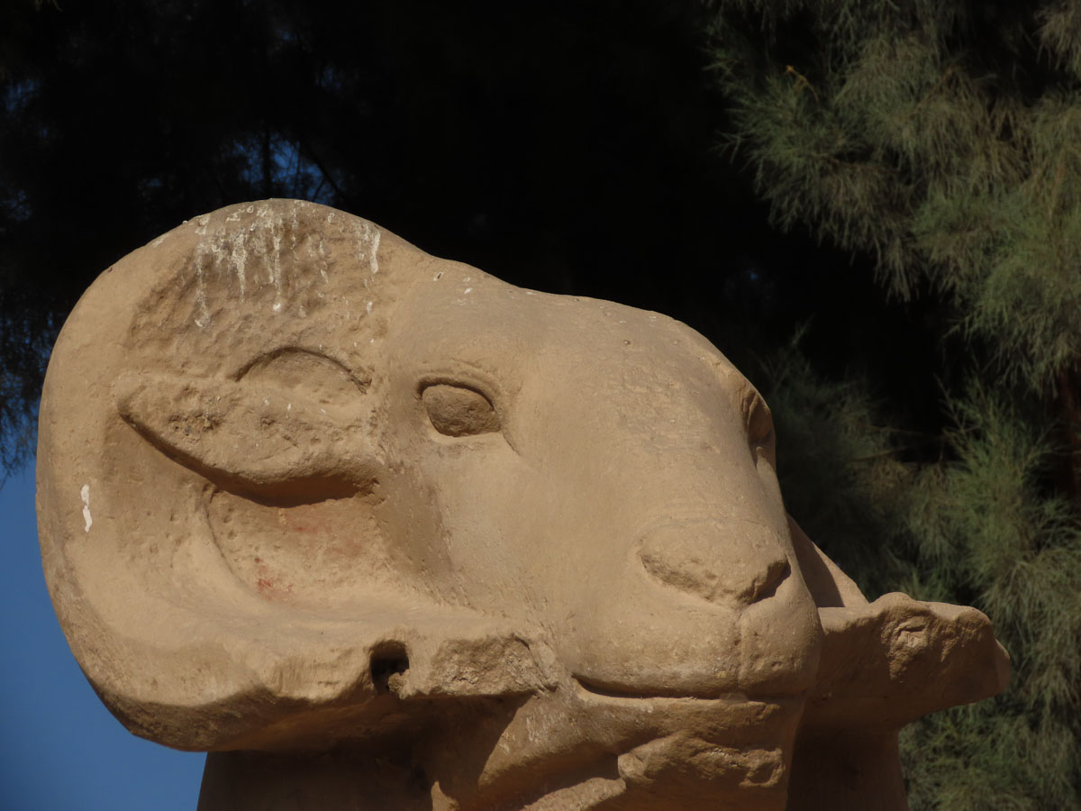 Stone gaze