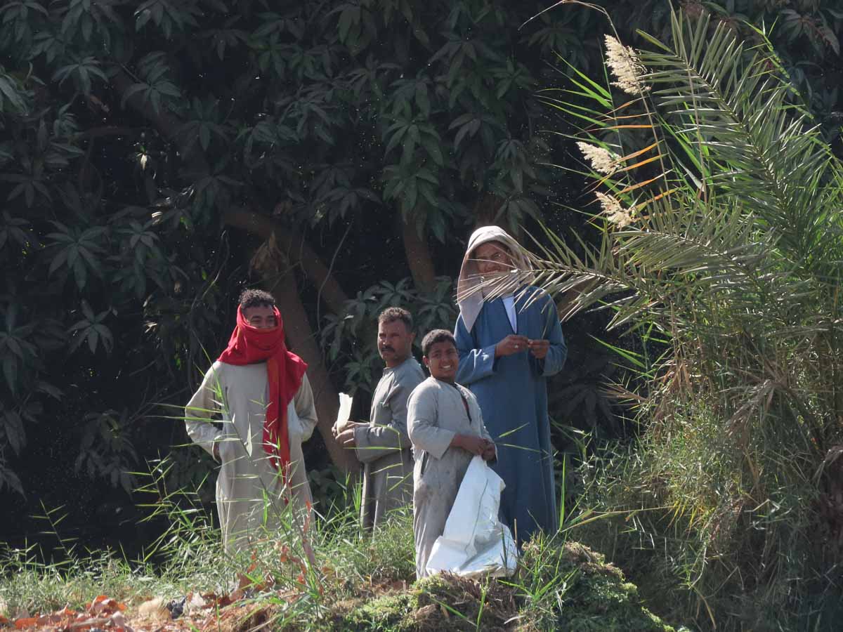 Family at work