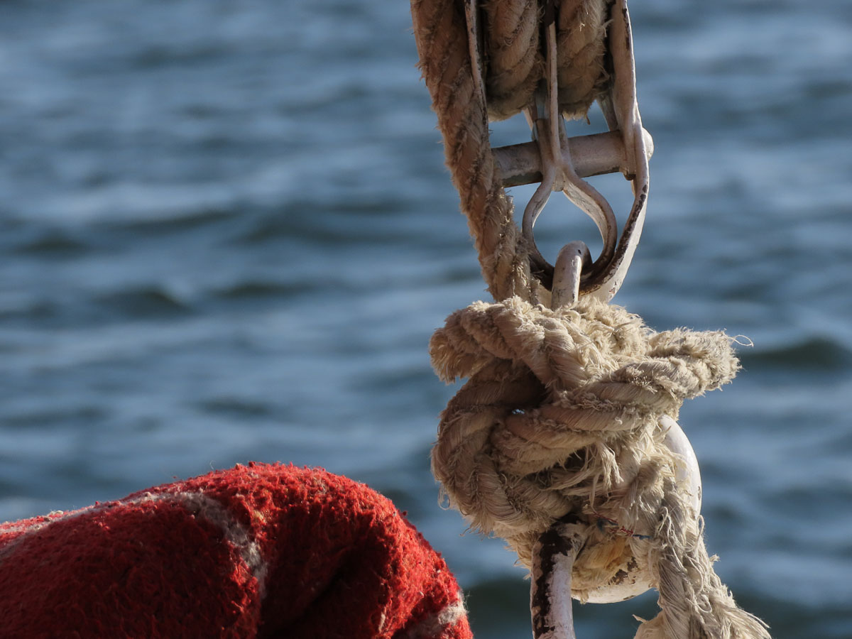 Knot