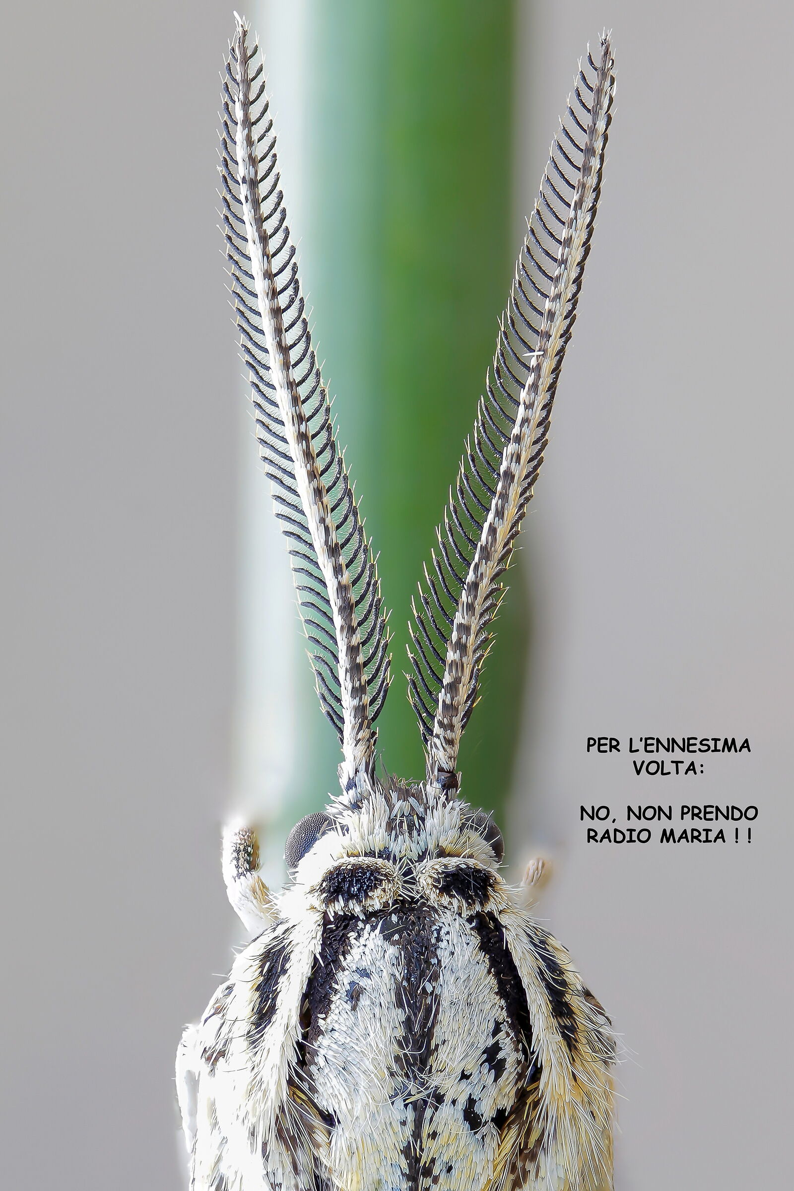 The usual question...