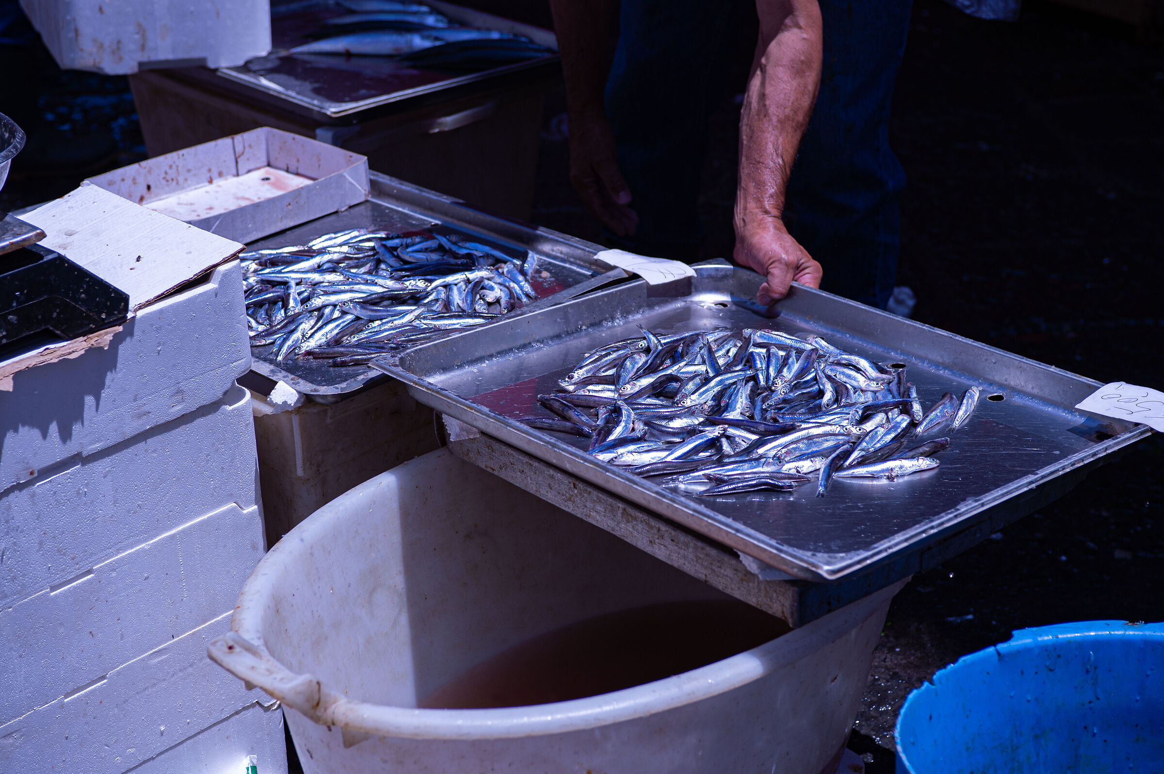 Catania Fish Market