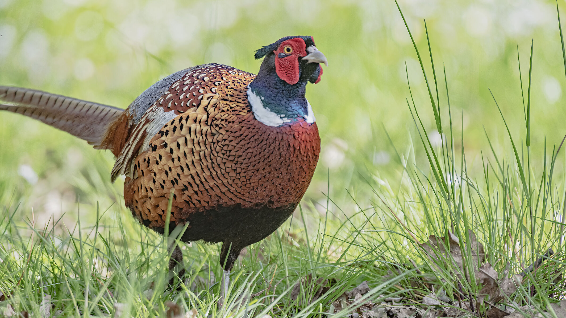 A turning point in the path