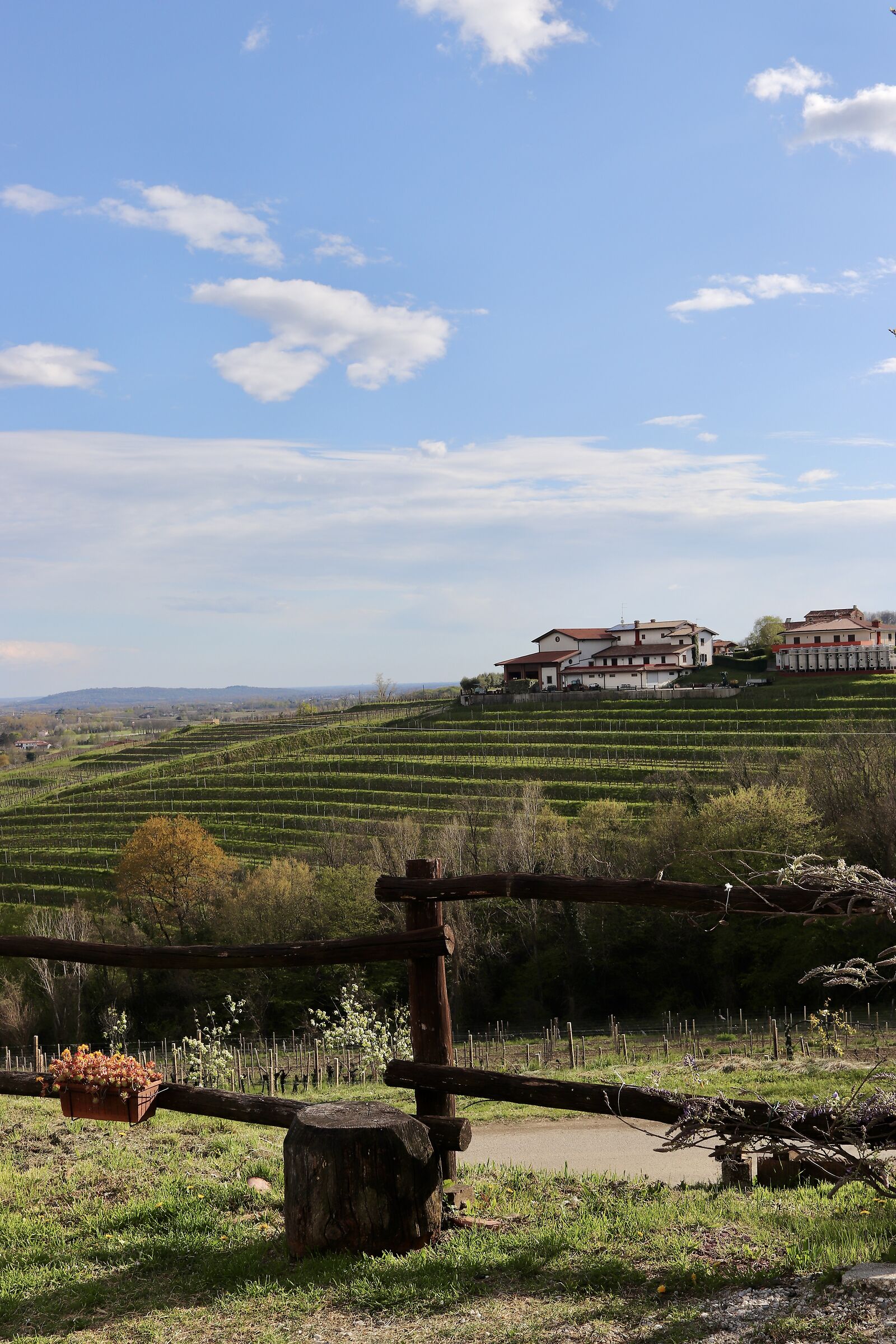 Pasqua nei Colli Orientali del Friulia