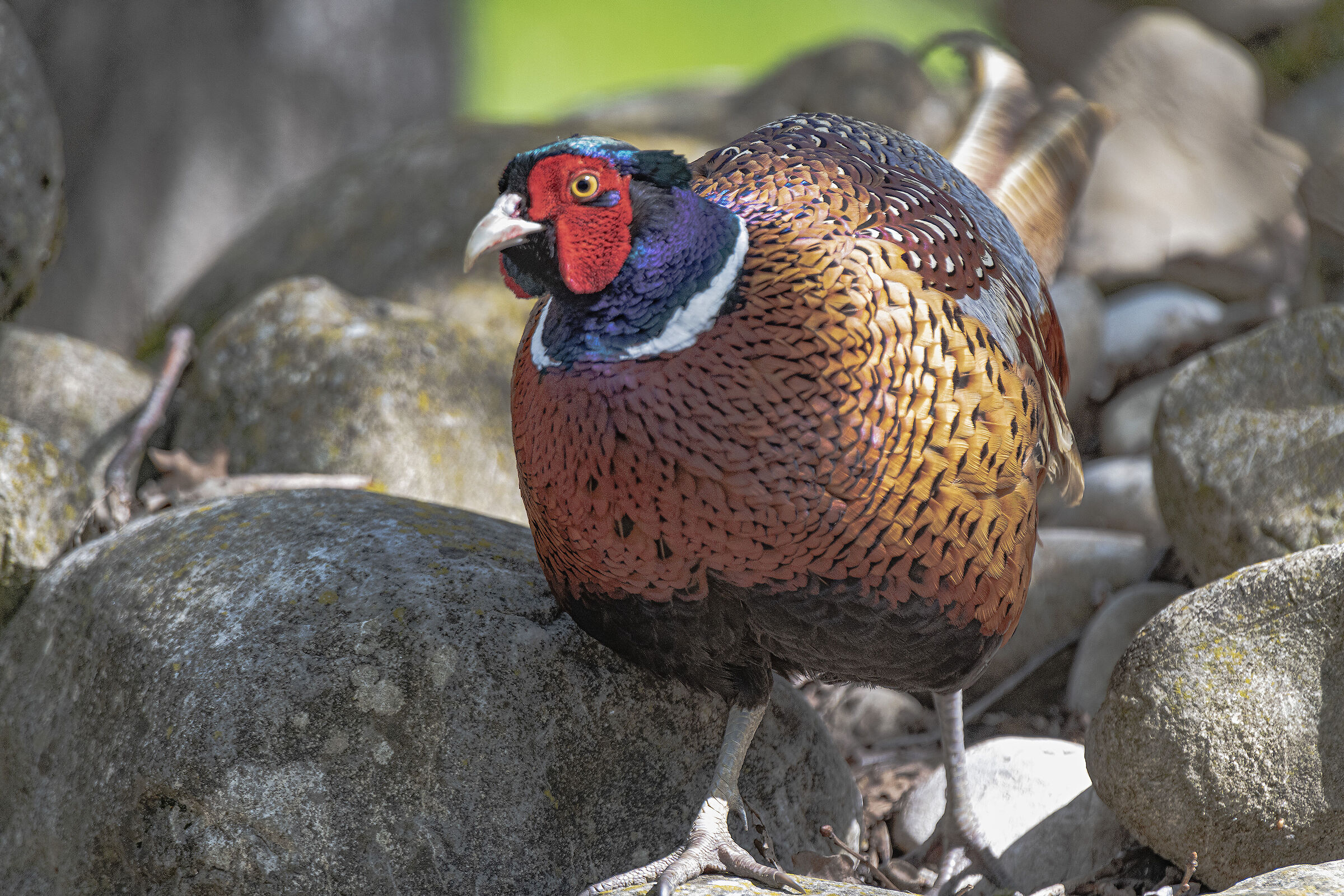 Getting closer and closer