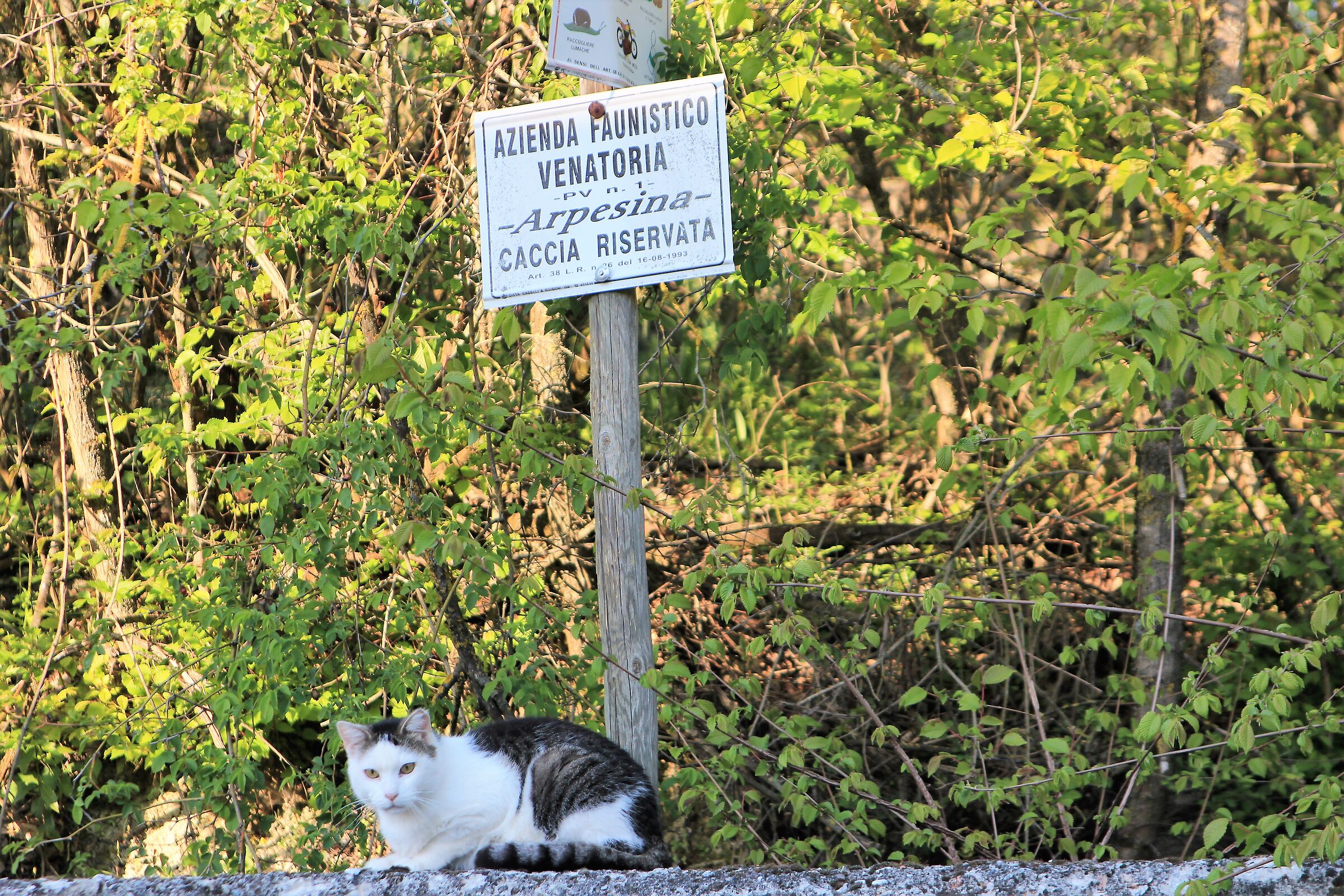 Tanto per essere chiari....