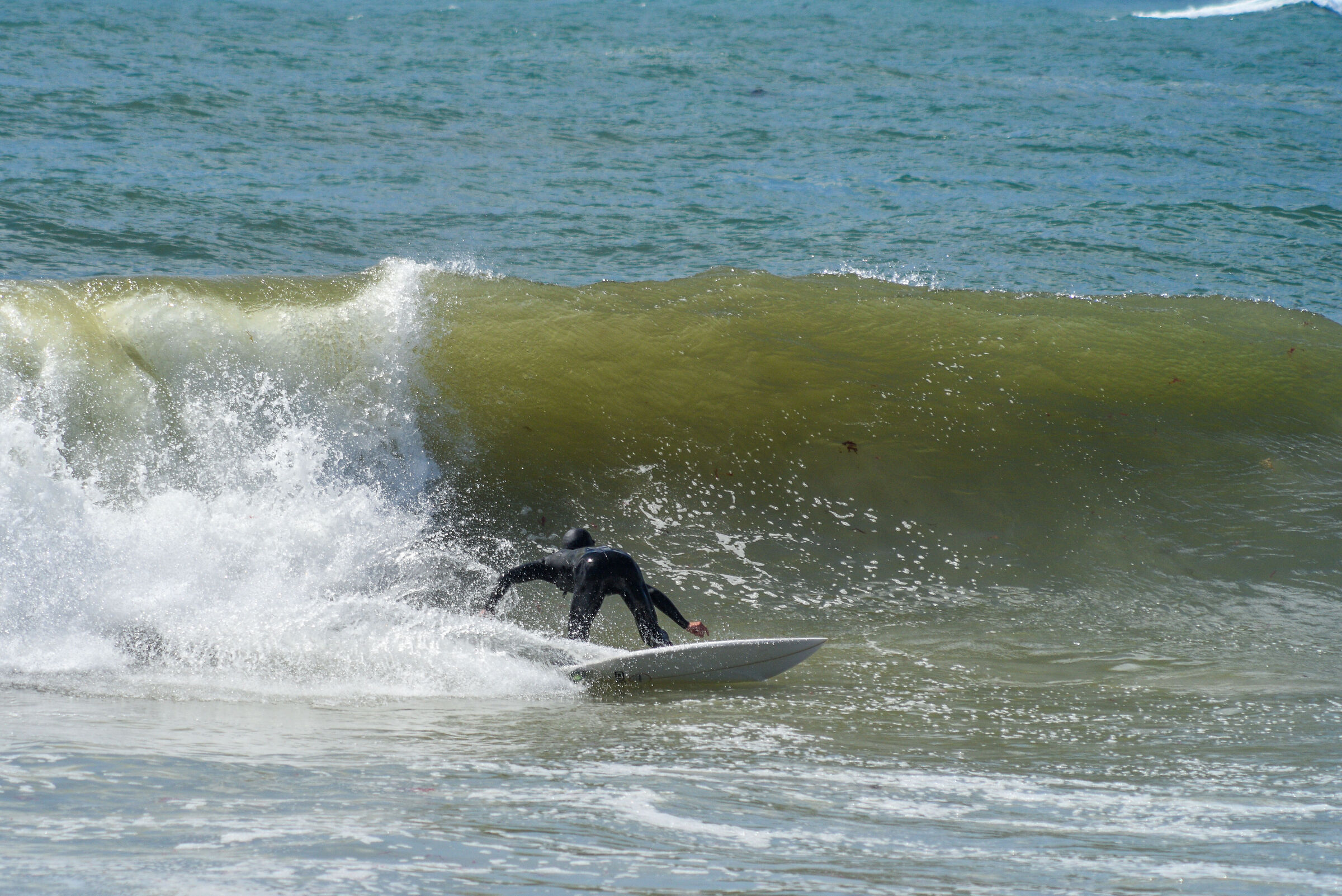 Surf in Table Mountain National Park