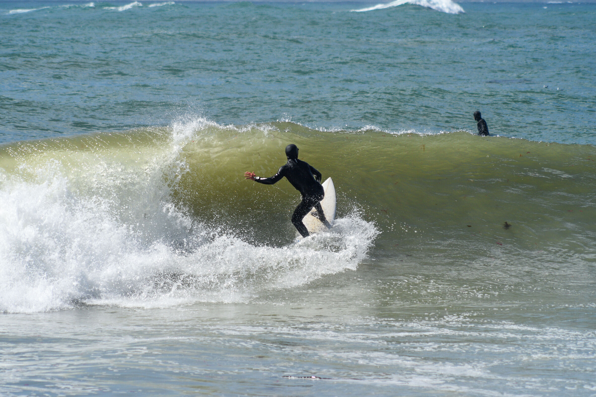 Surf in Table Mountain National Park