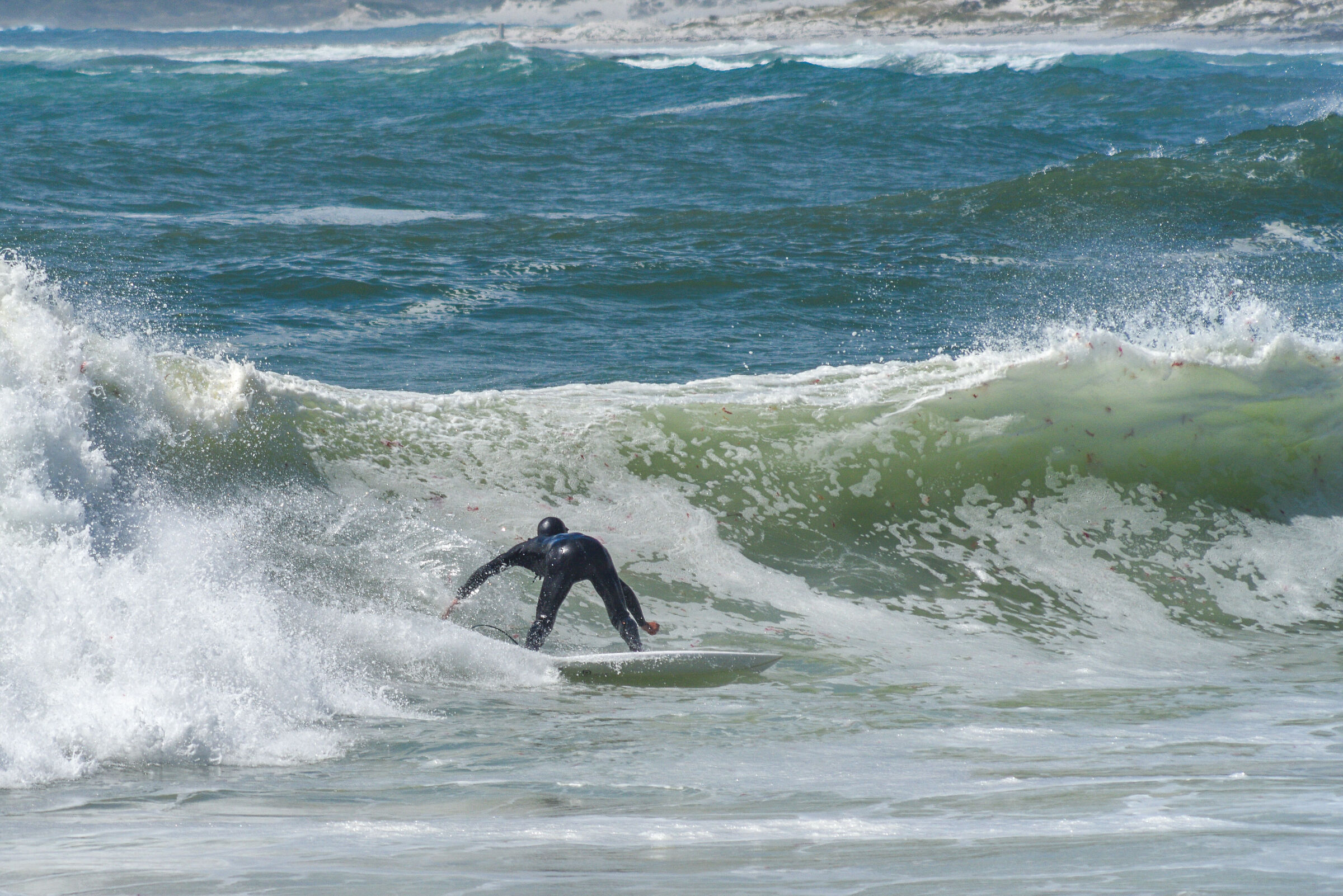 Surf in Table Mountain National Park