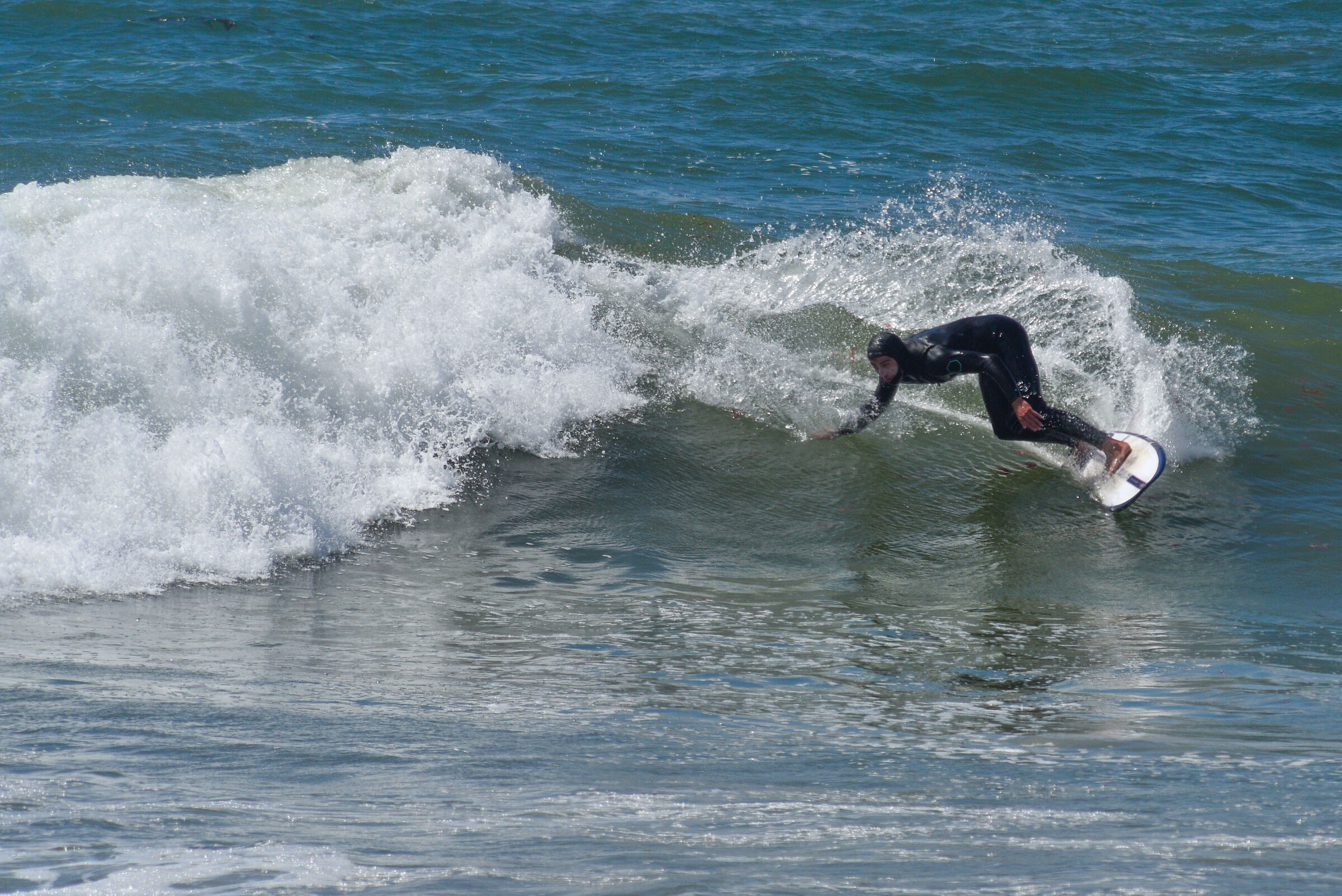 Surf in Table Mountain National Park