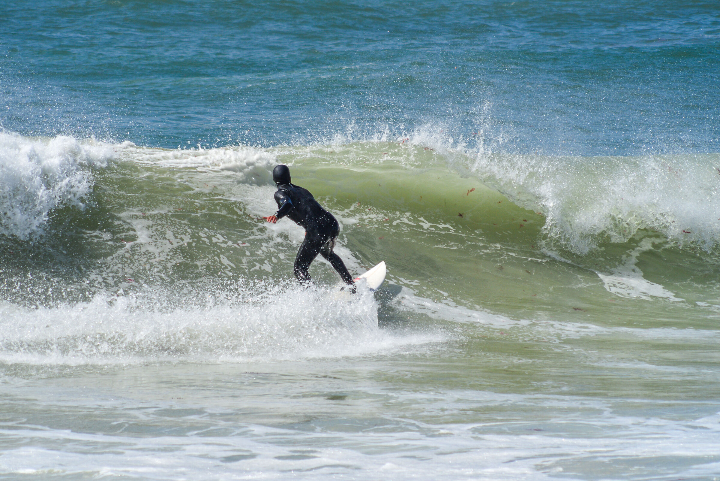 Surf in Table Mountain National Park