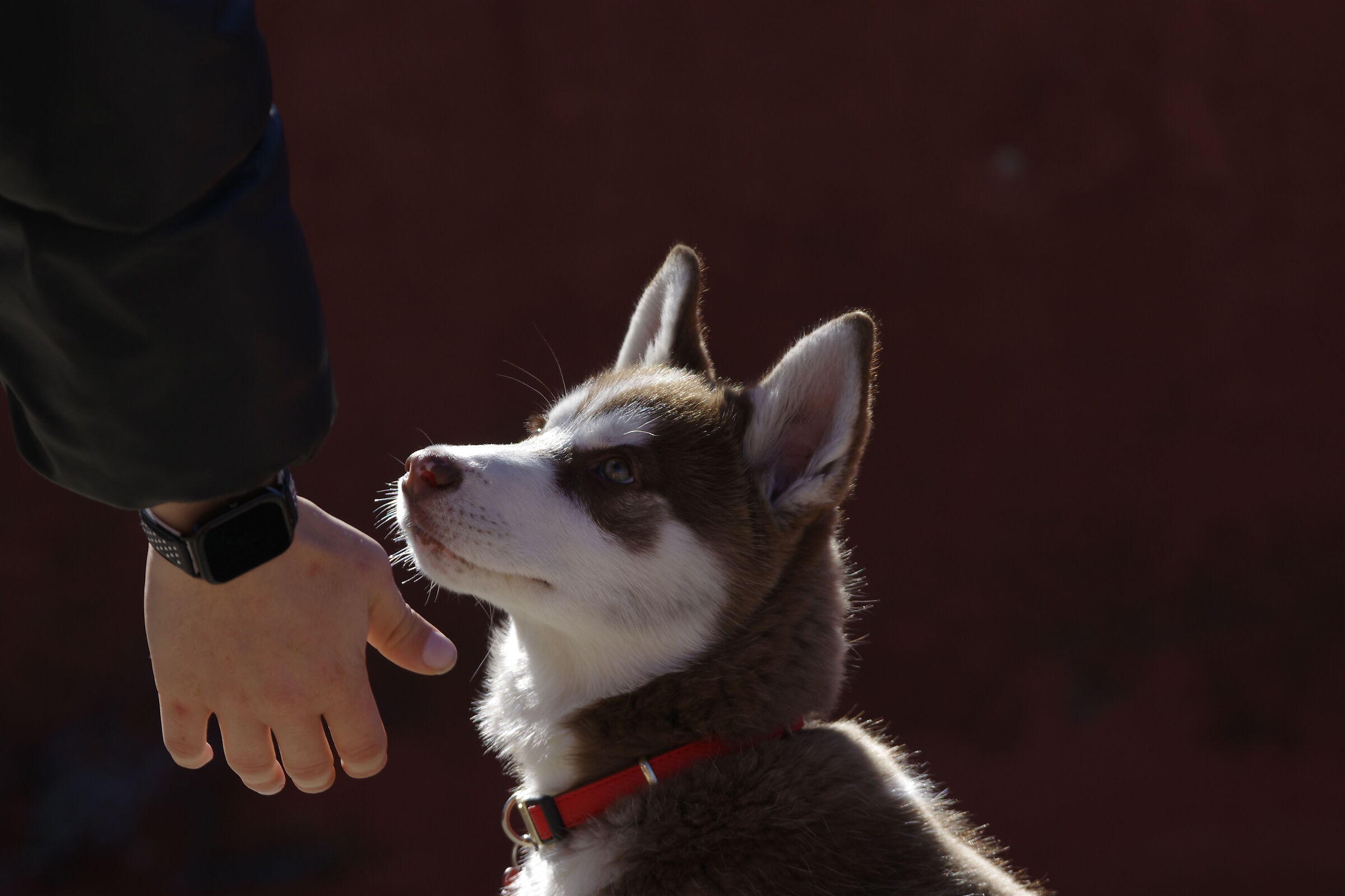 Un'amicizia che viene da lontano
