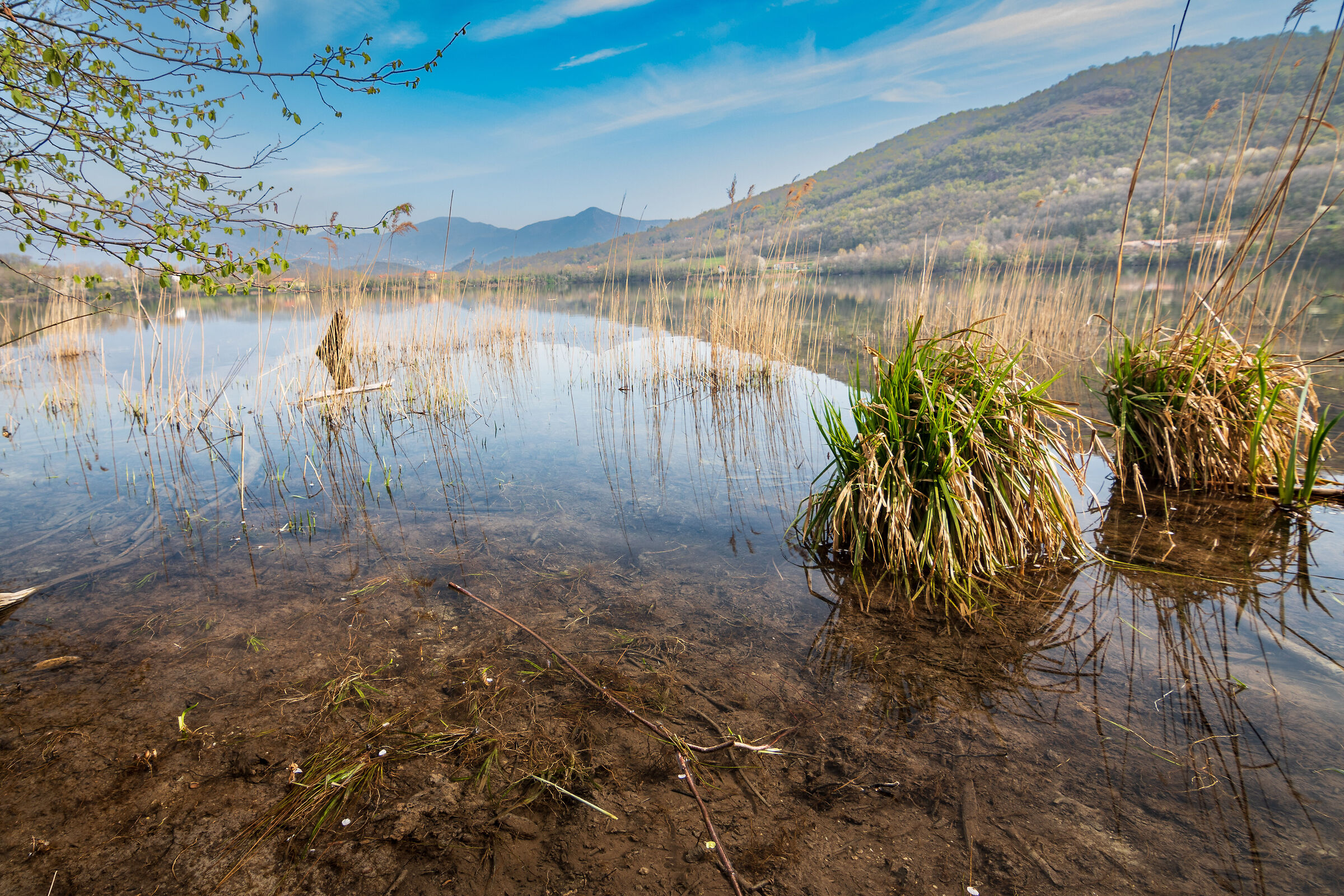Lake Piccolo of Avigliana