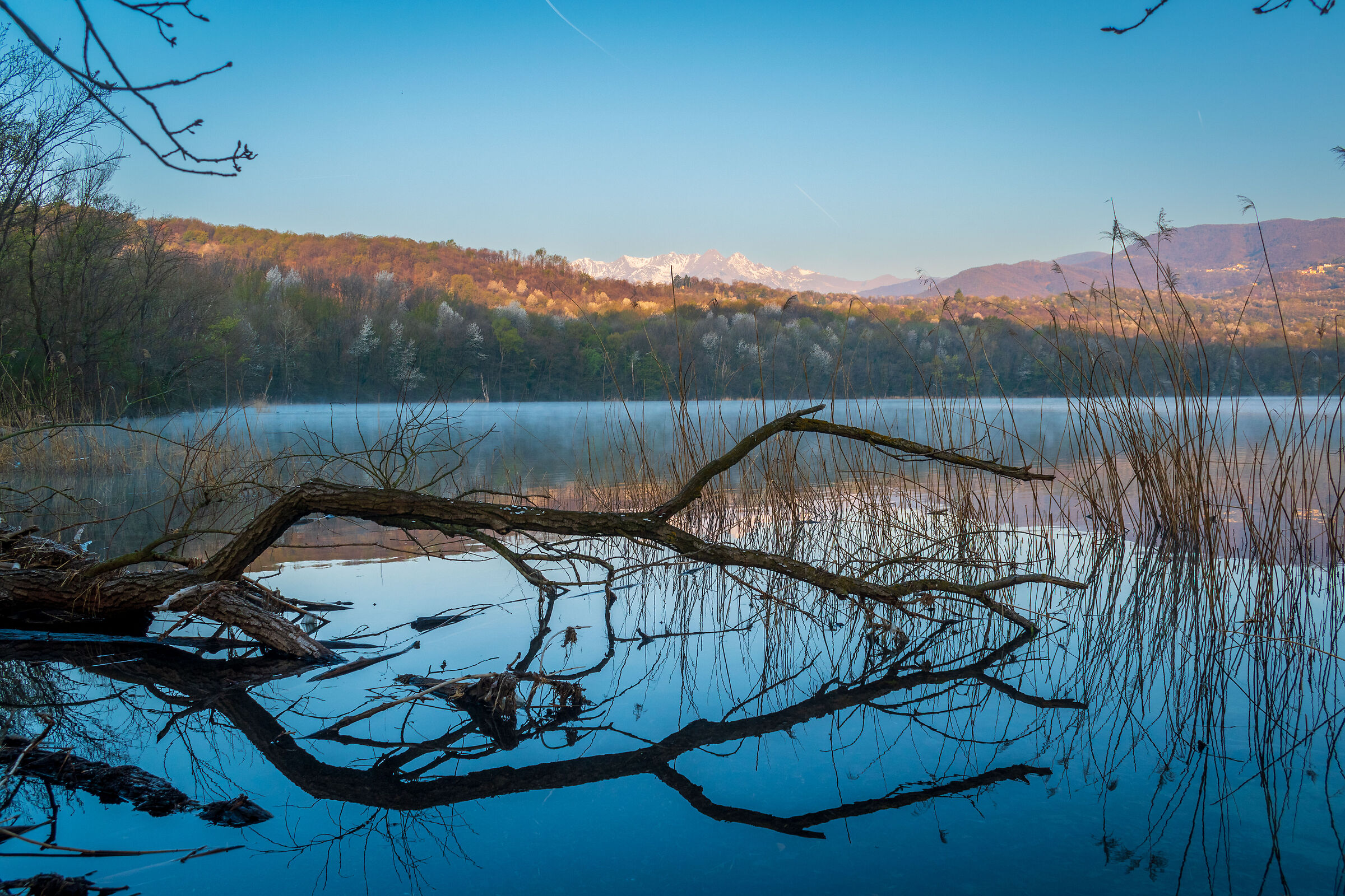 Lake Piccolo of Avigliana
