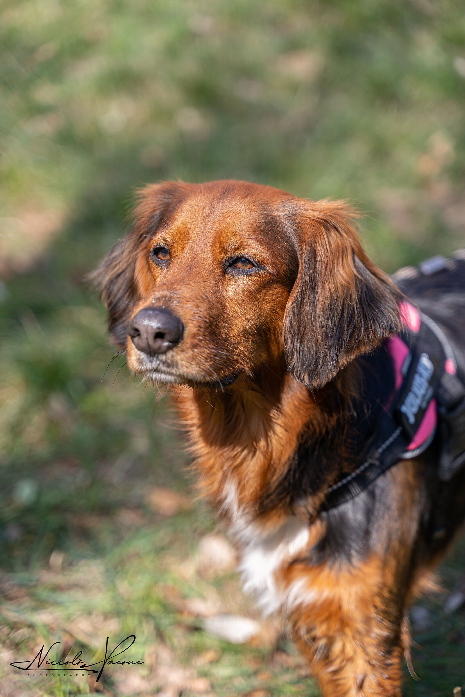 Zoe