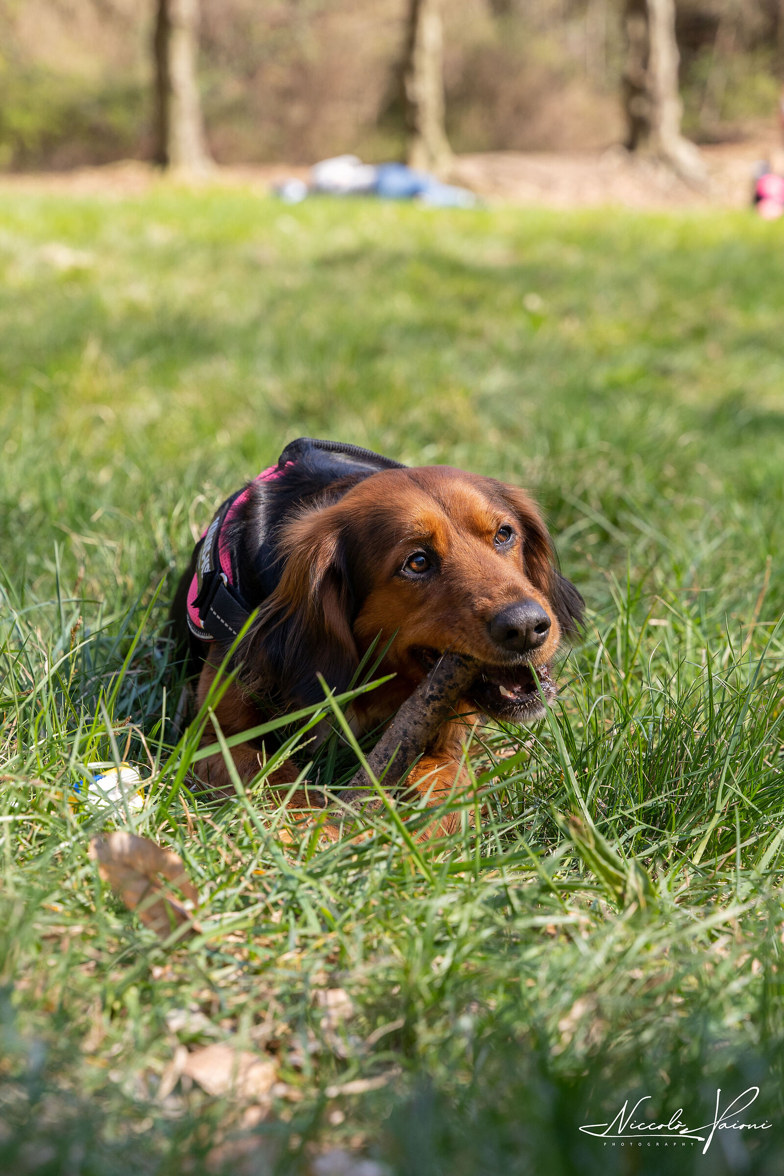 Zoe