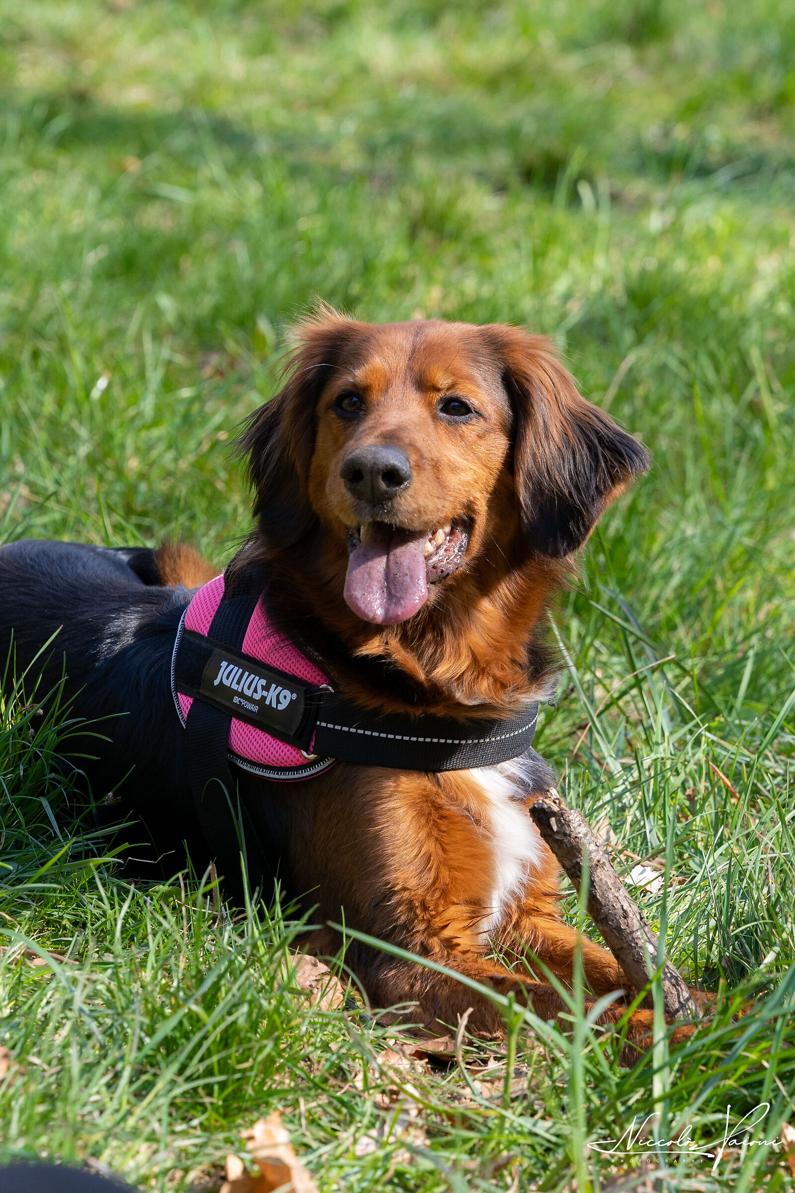 Zoe