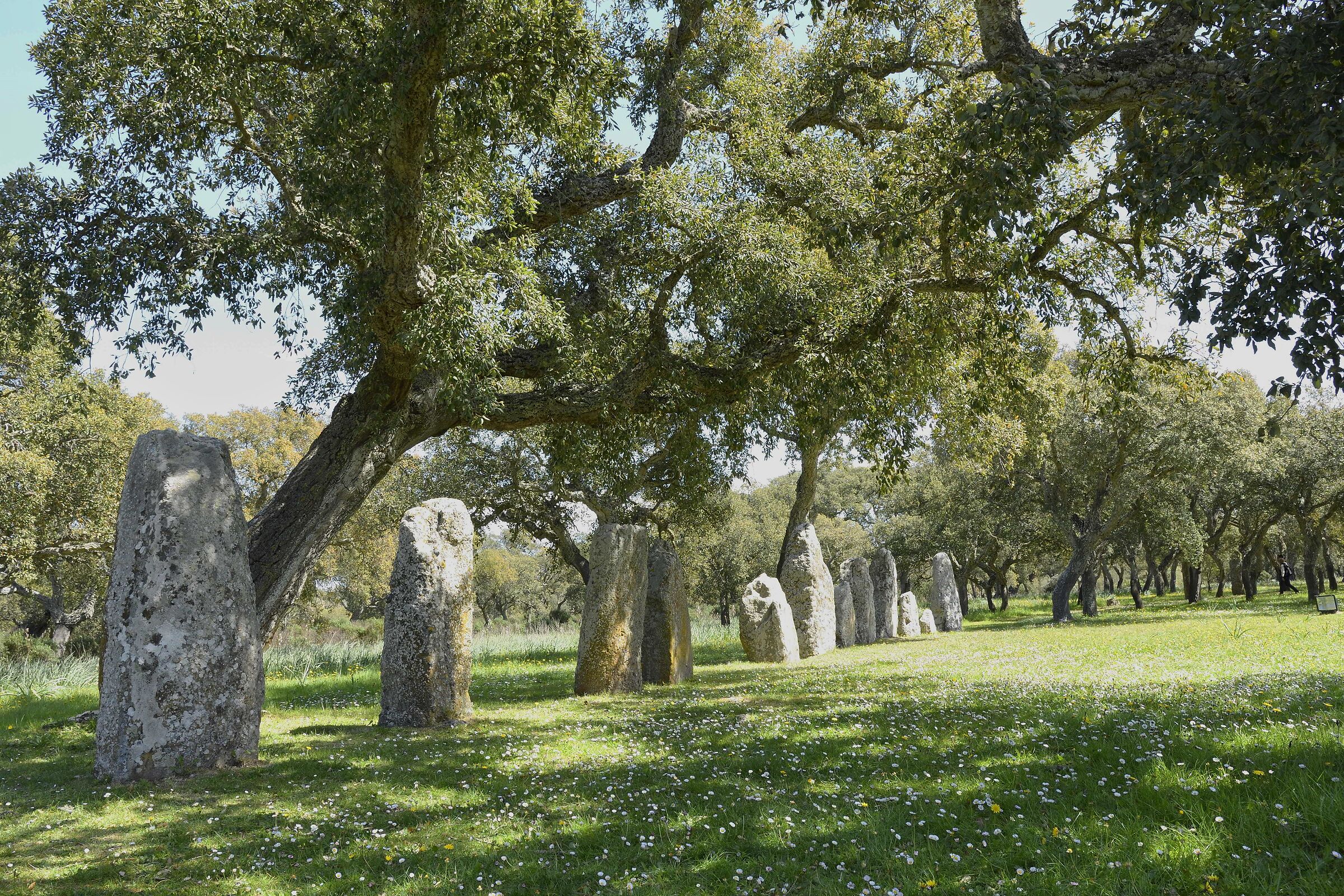 Pranu Muttedu - Goni