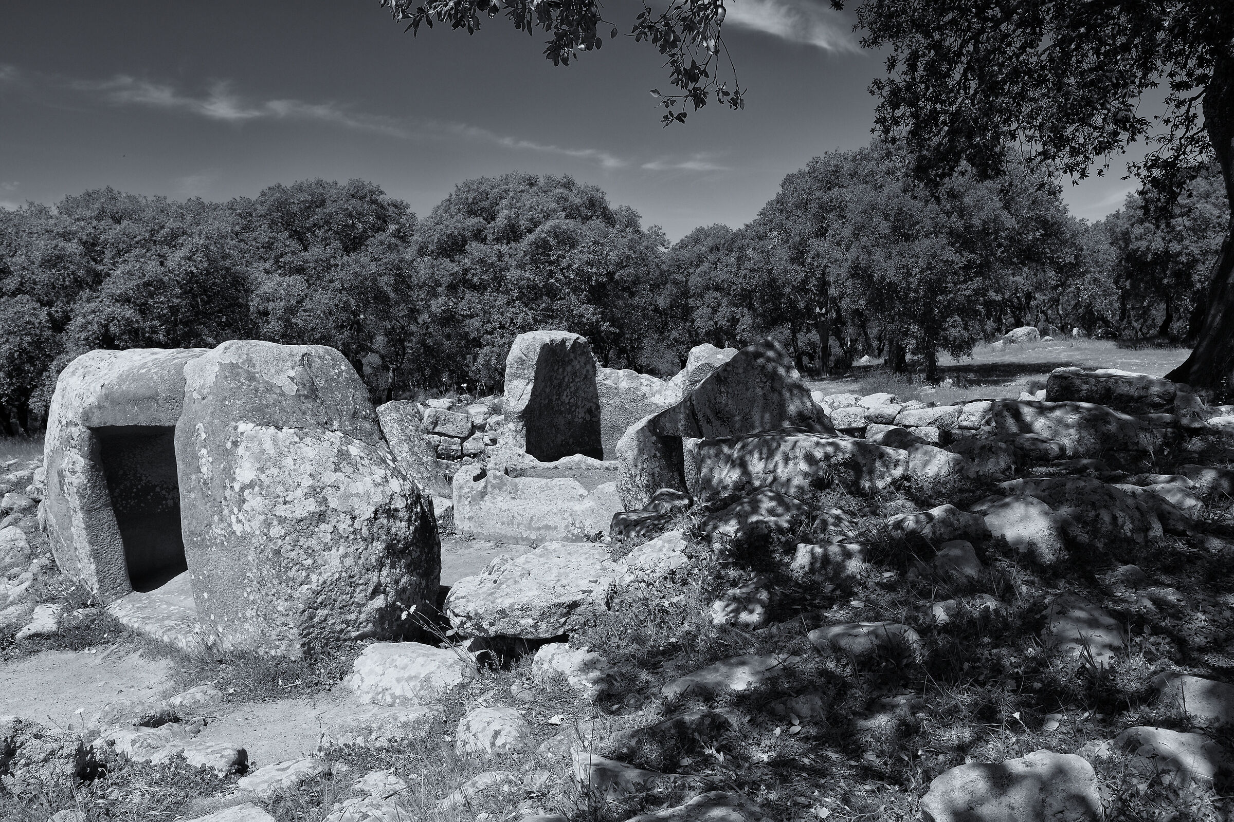 Pranu Muttedu - Goni