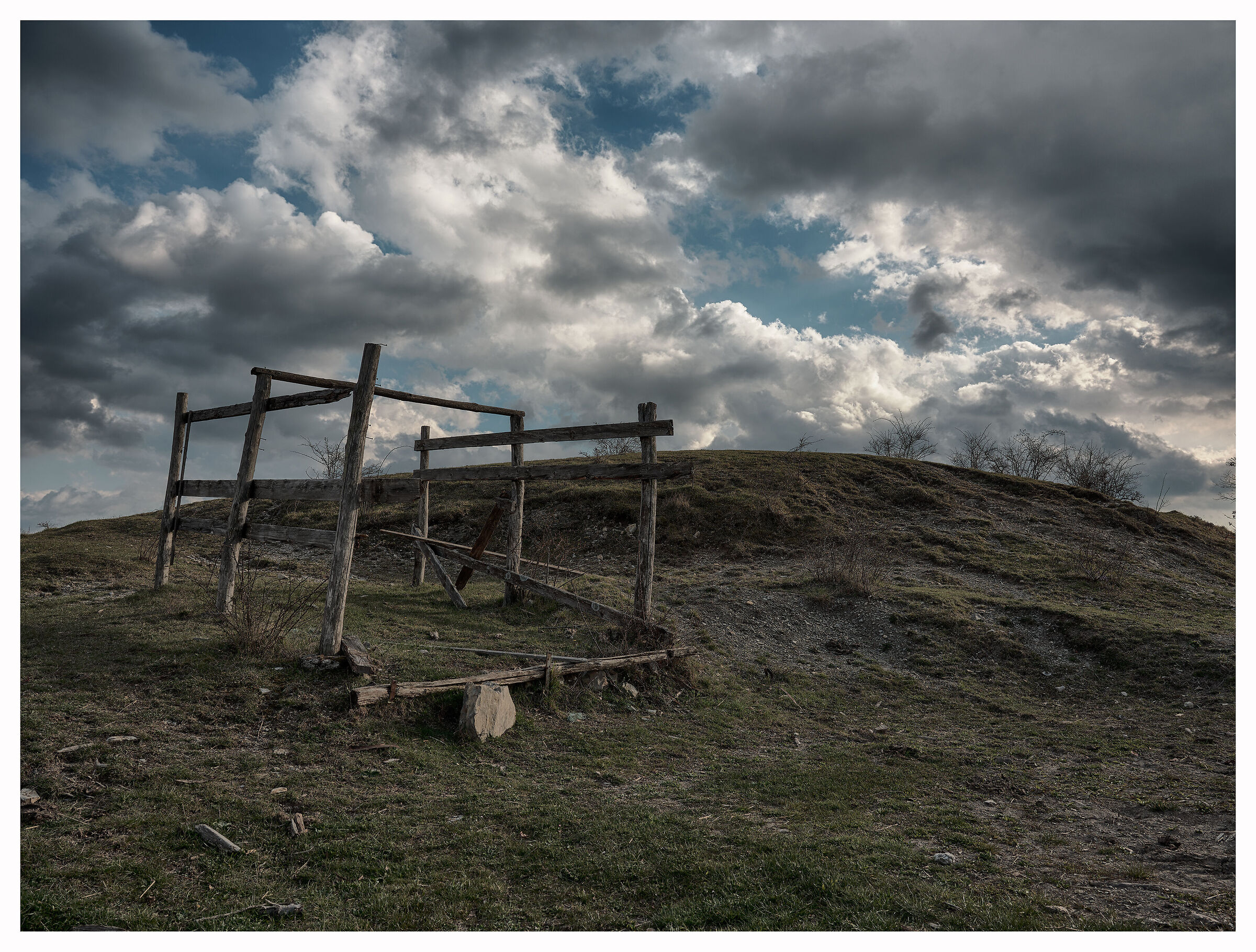 The oxen have escaped