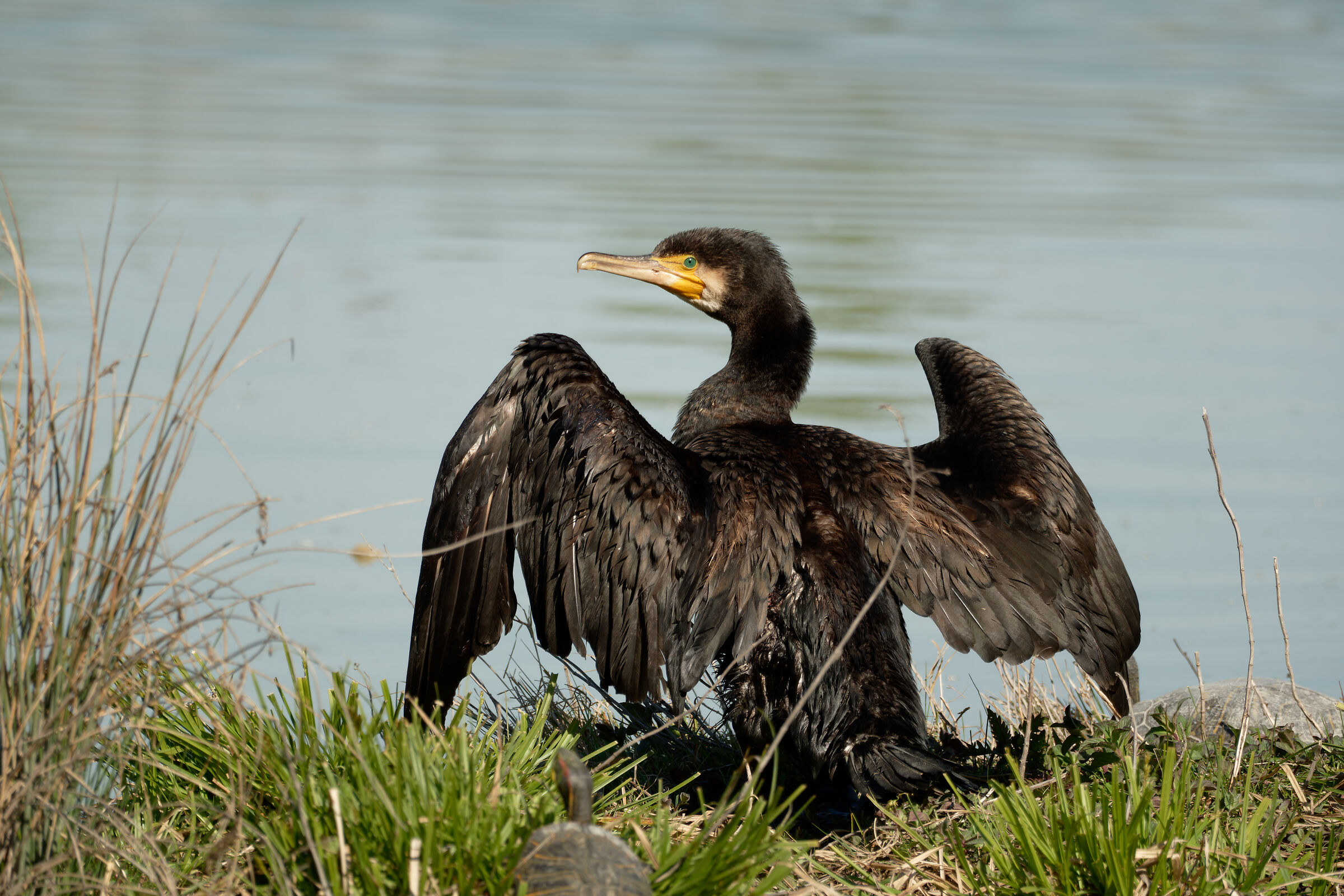 Il caldo della primavera...