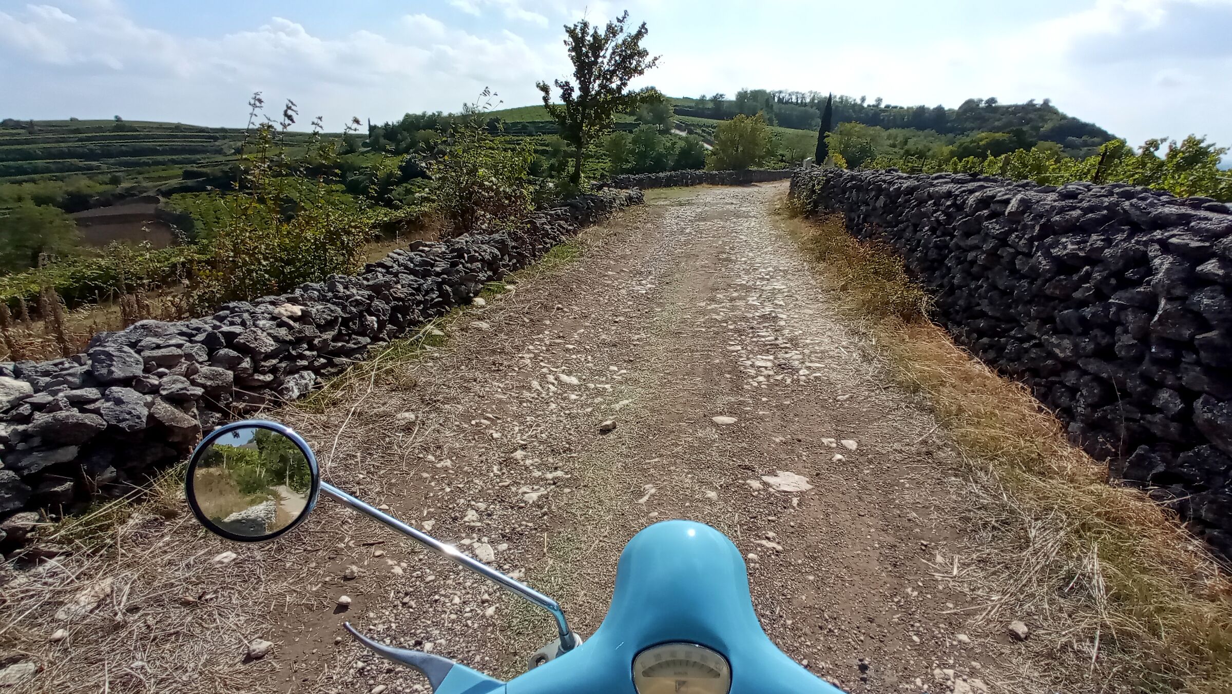 to the whole Vespa....