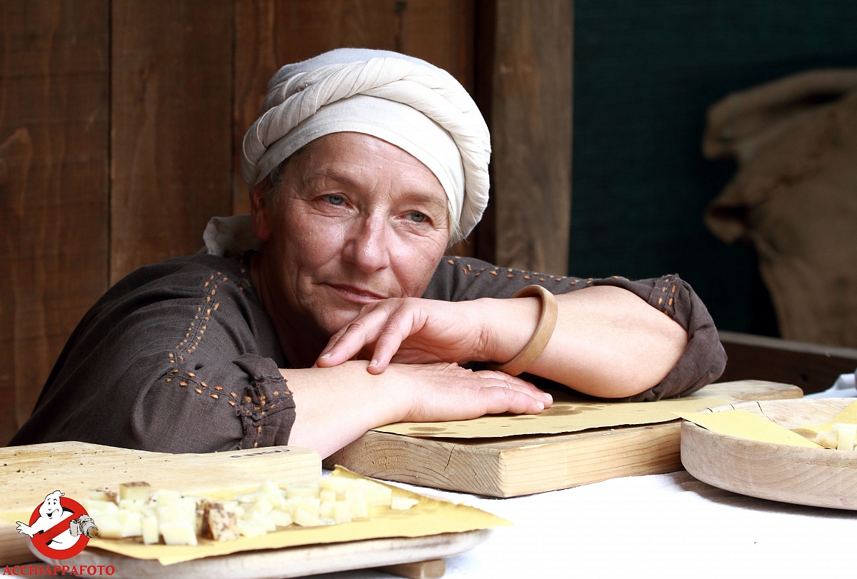 Medieval Castle conegliano