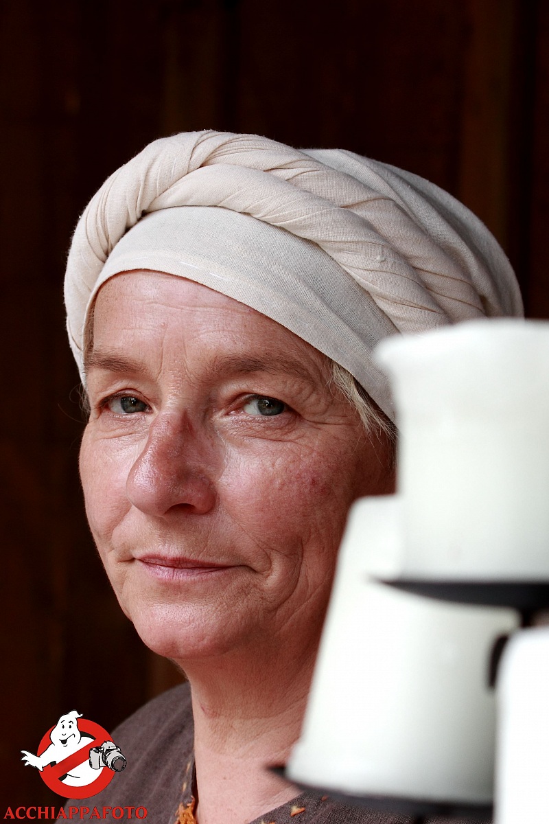 Medieval Castle conegliano