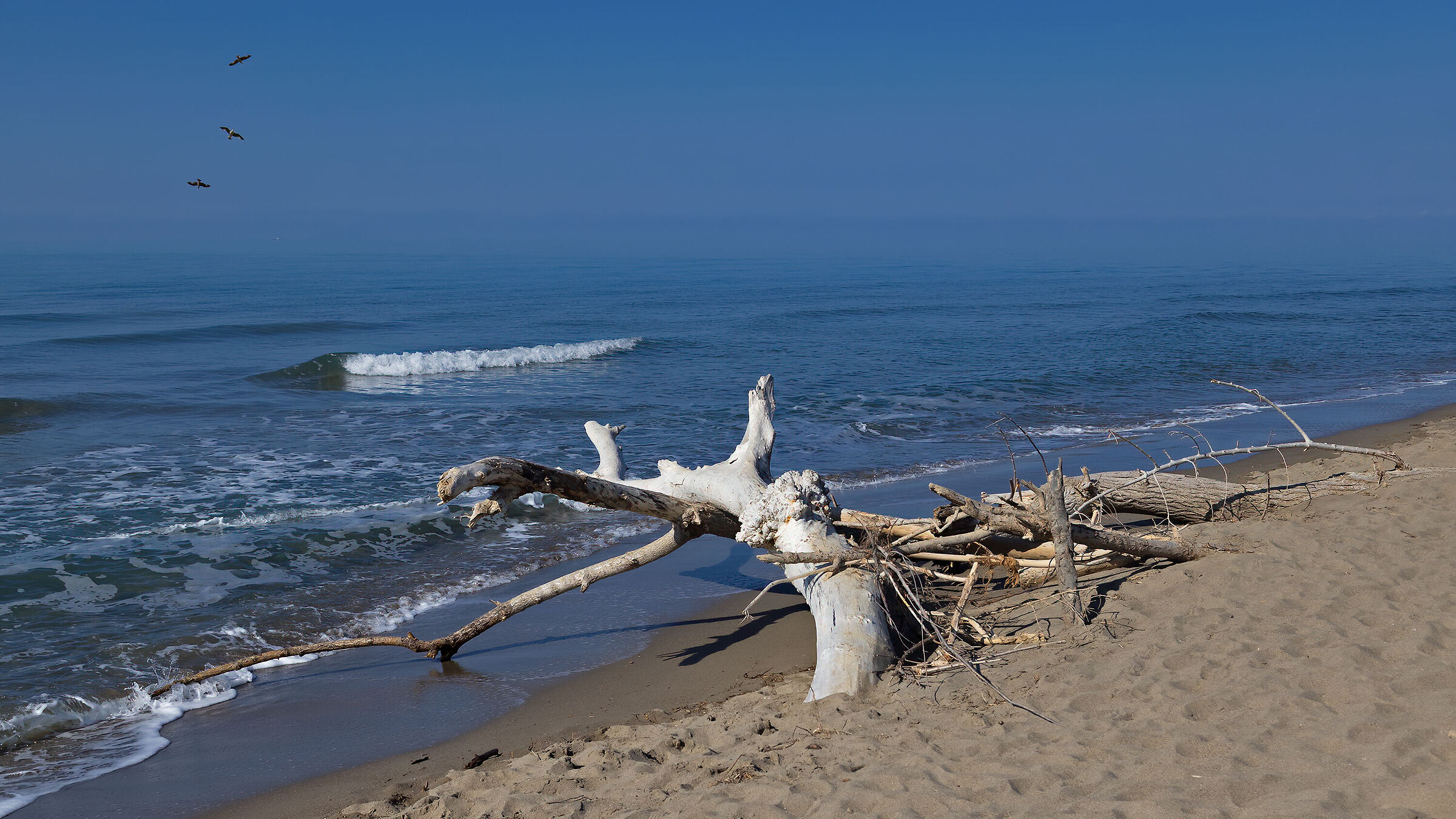 Marina di Alberese - Parco della Maremma