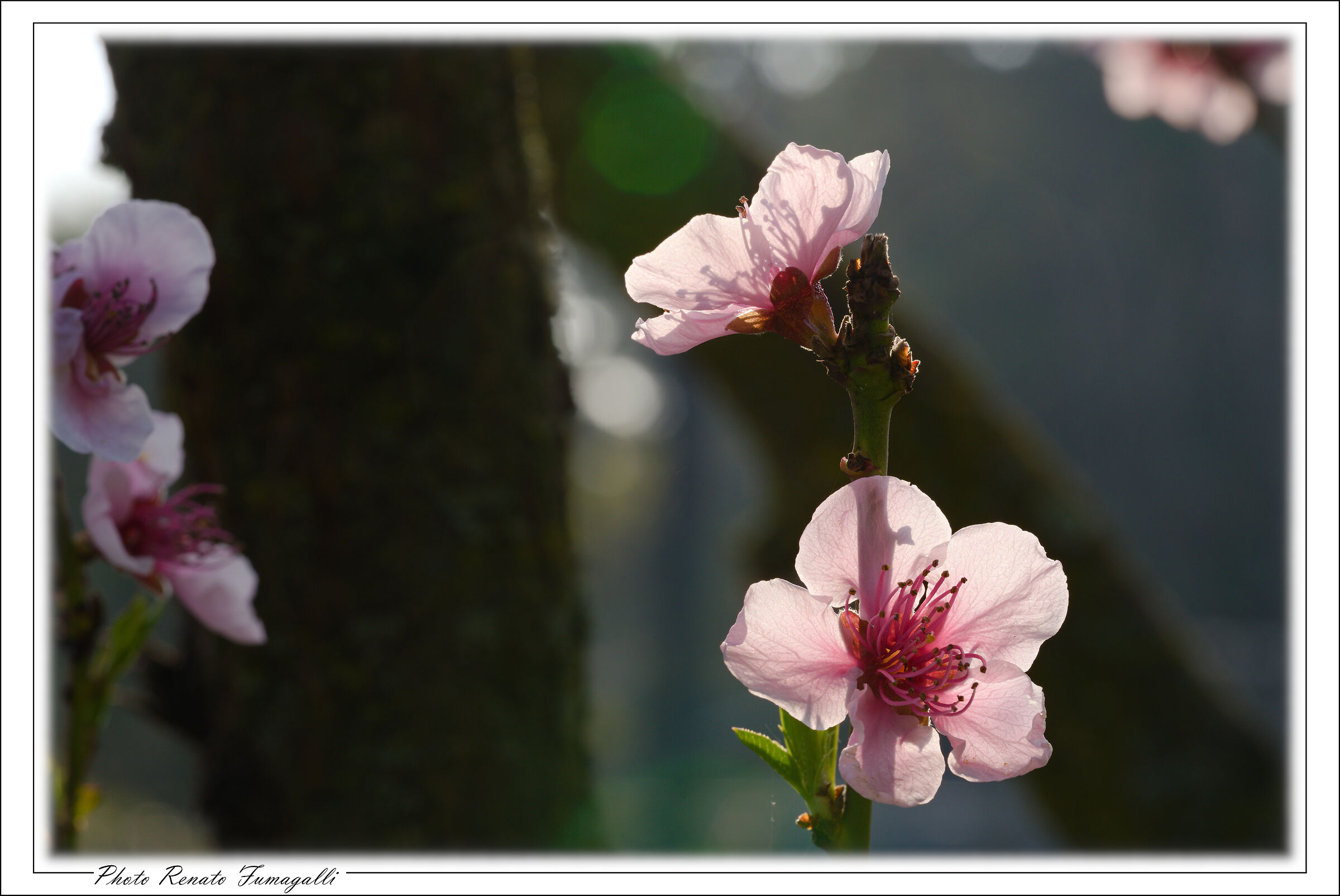 Untitled Photo