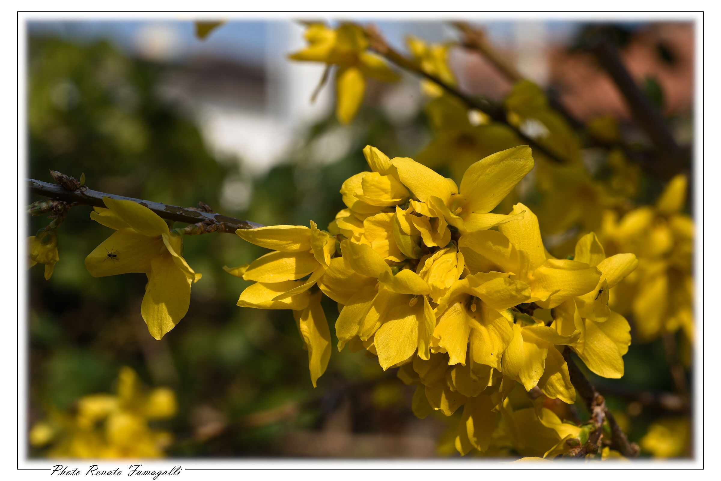 Untitled Photo